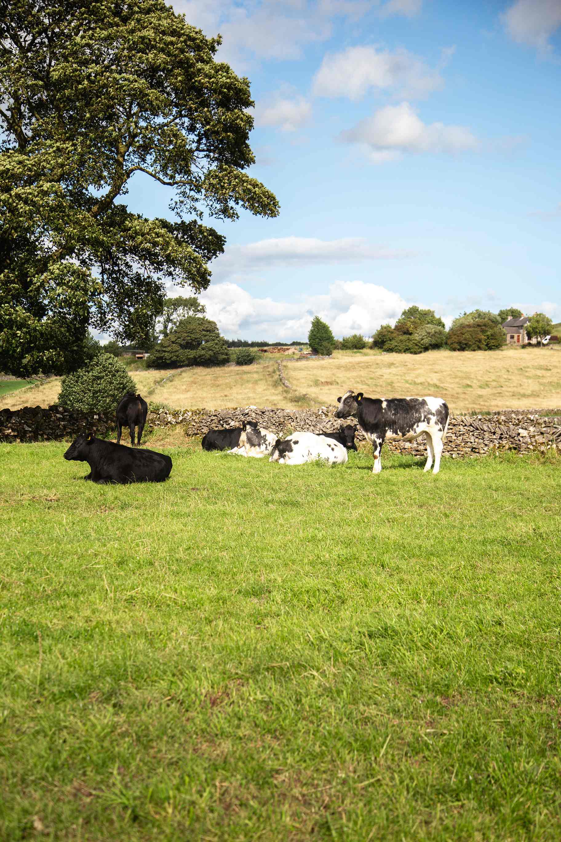 Lots of animals to see whilst exploring the area!