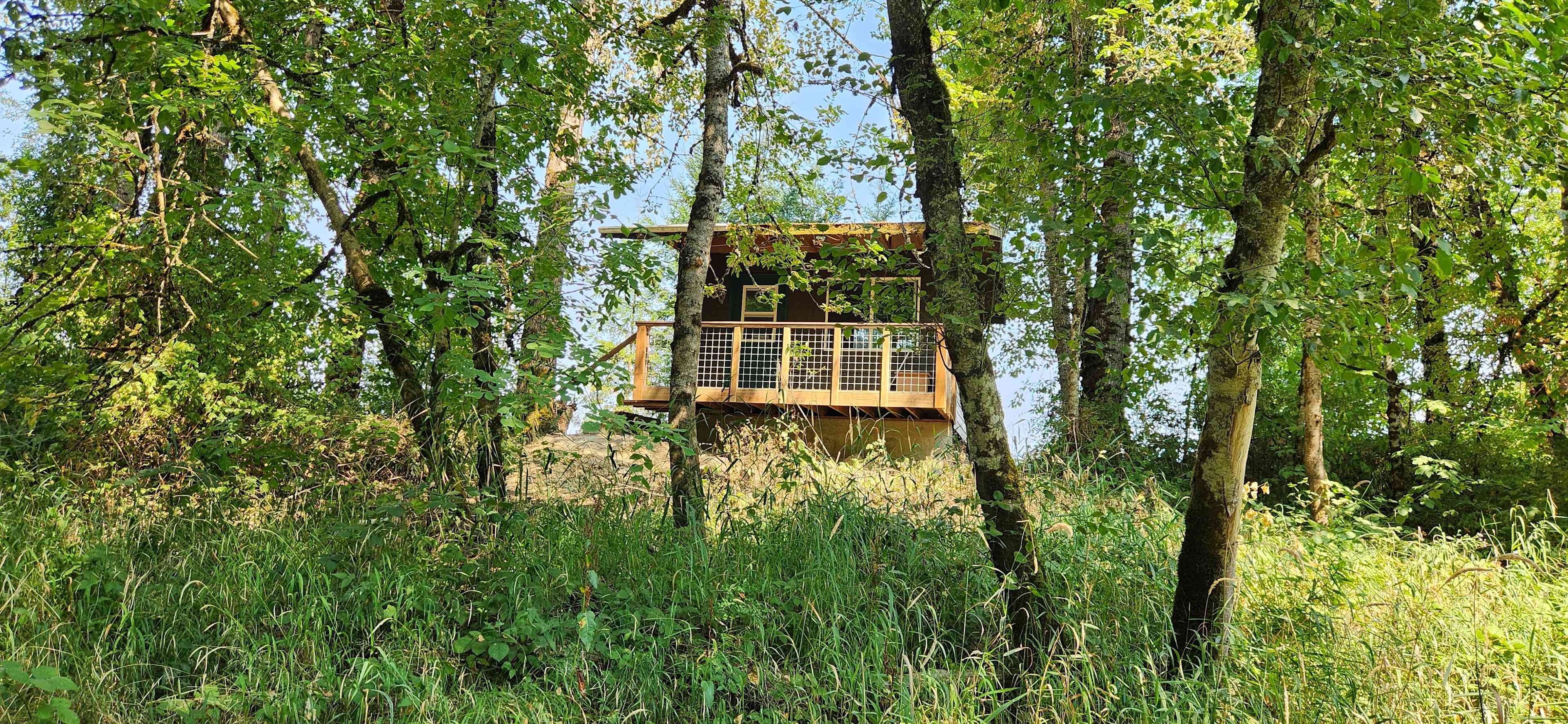 Santiam Serenity
