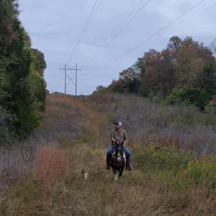 Muddy Bear Acres