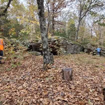 Muddy Bear Acres