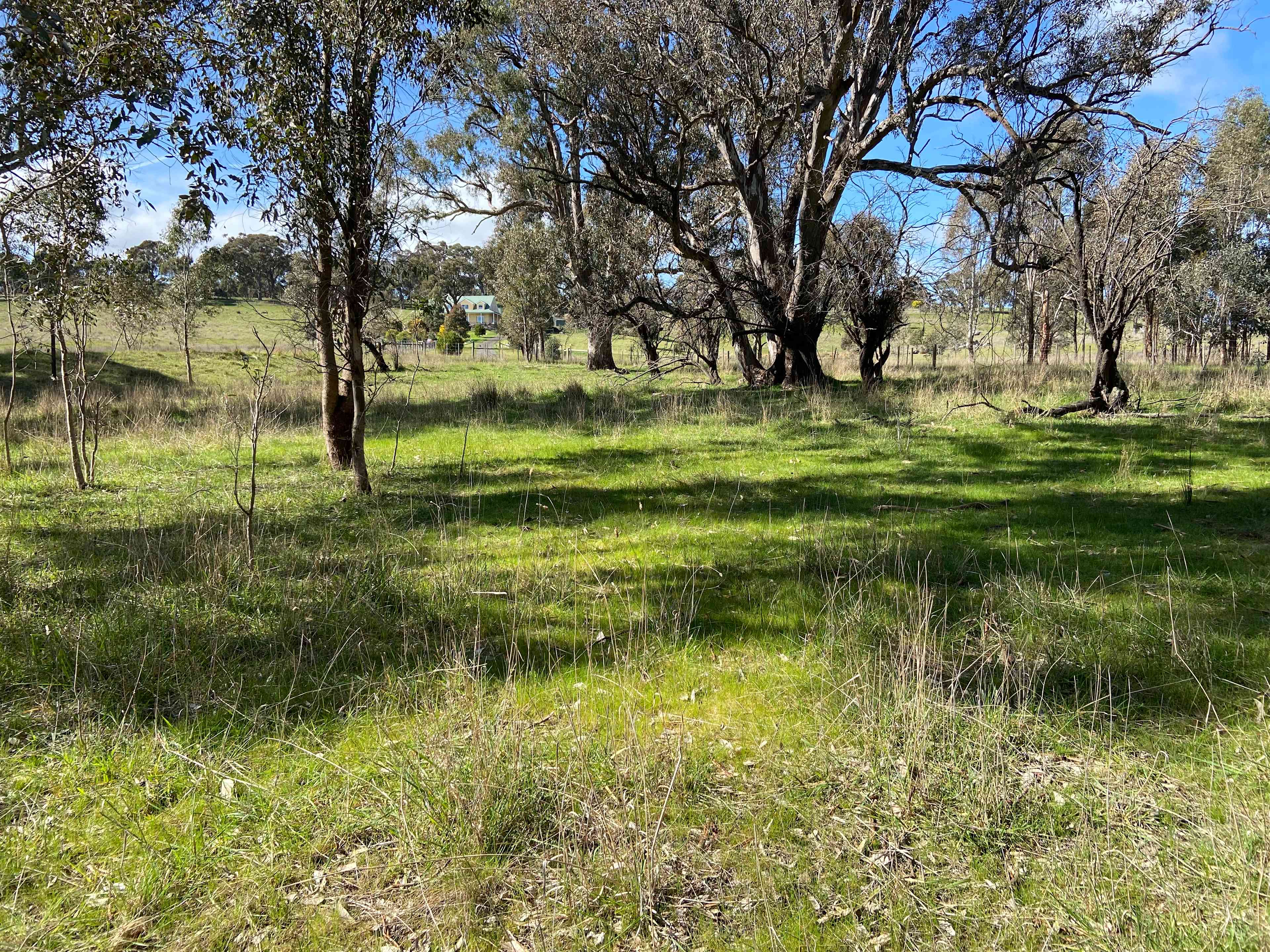 Example of camping site but lots to choose from. 