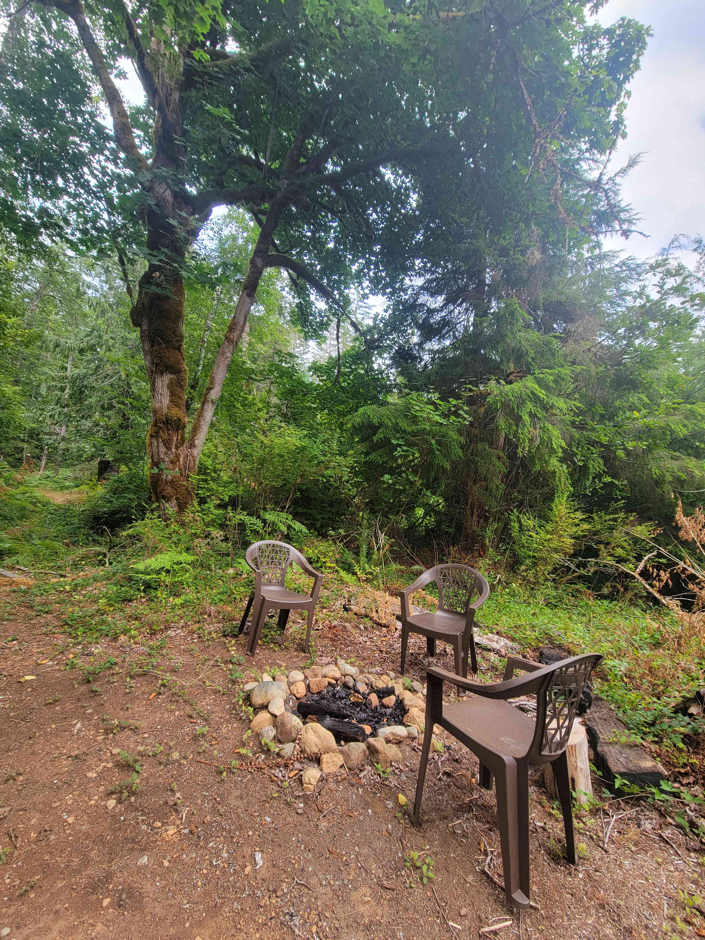 Firepit area (available for use when there is no burn ban in effect) 