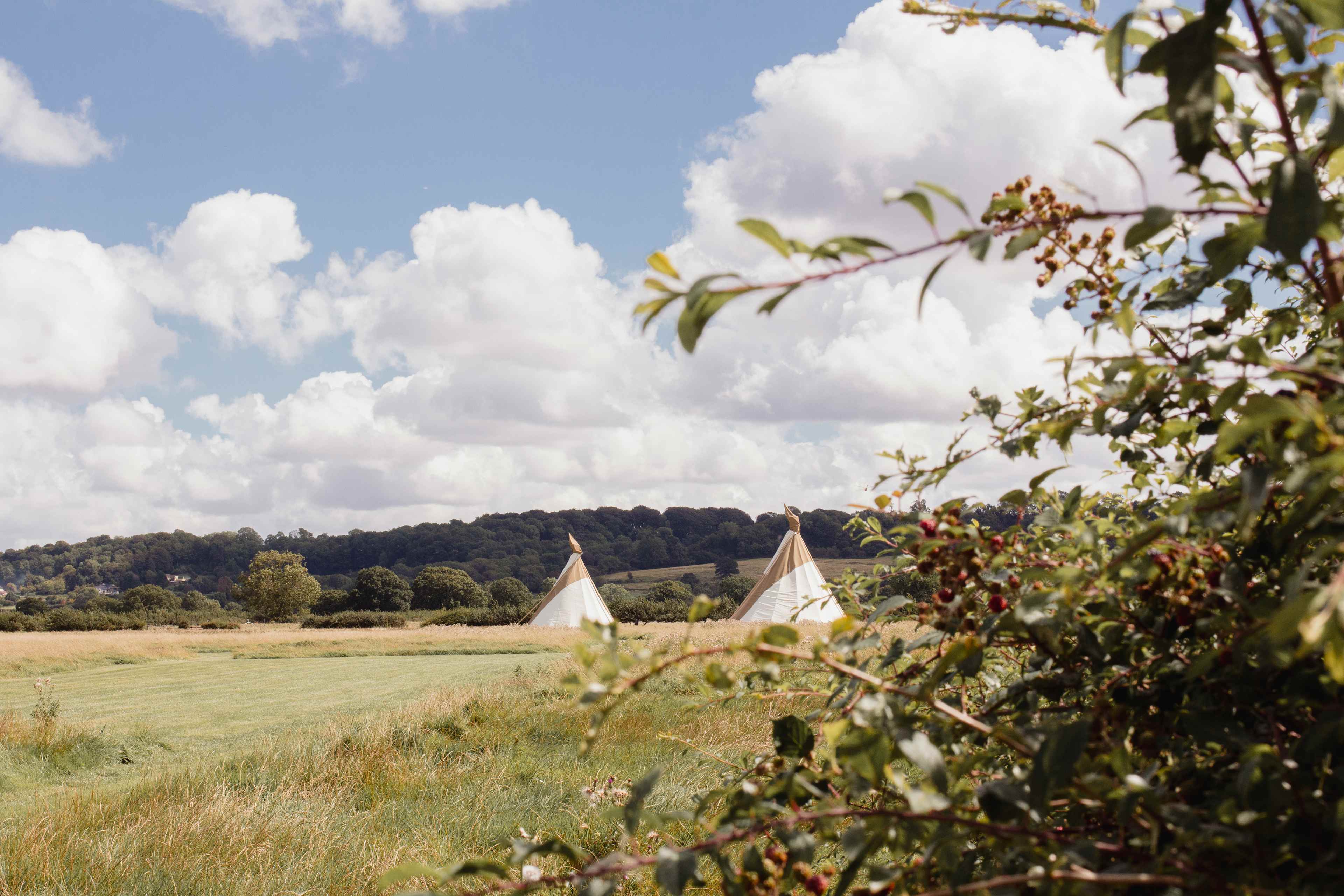 Great Cotmarsh Farm
