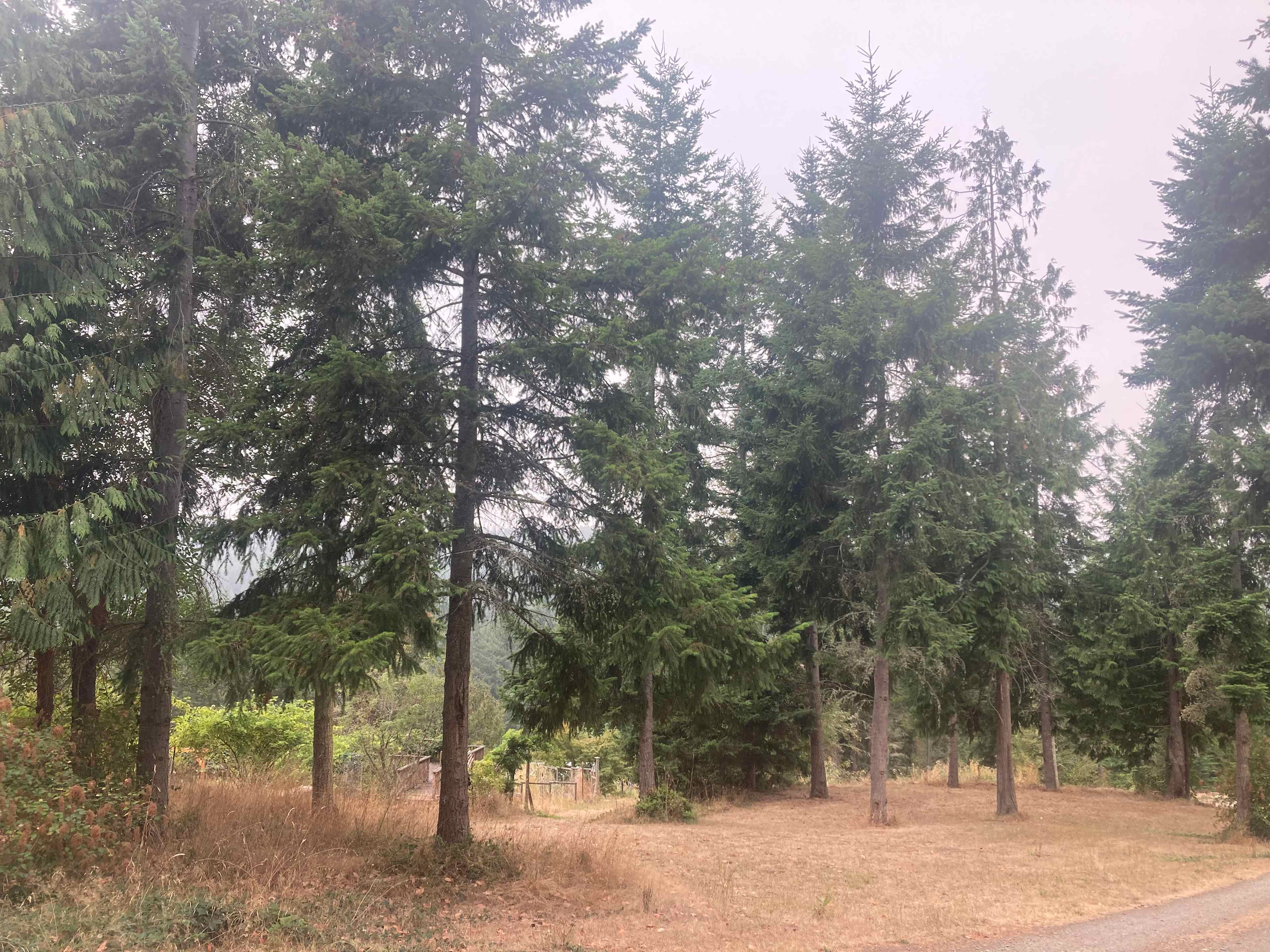 Solstice Ridge Retreat