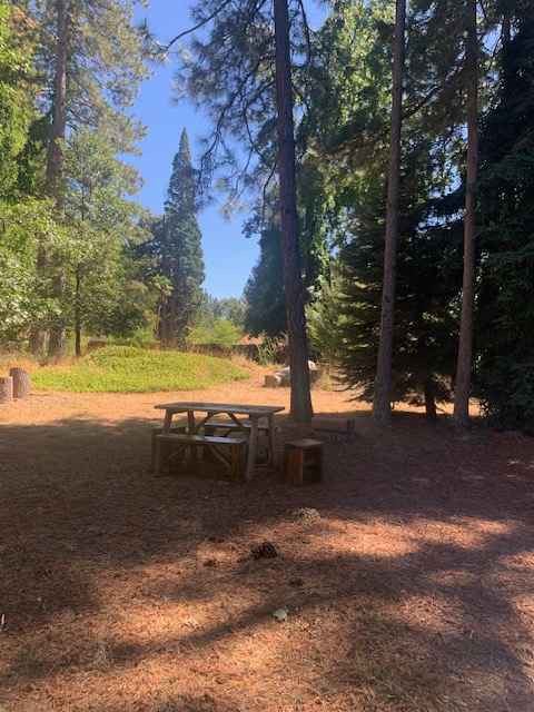 In Town Camping