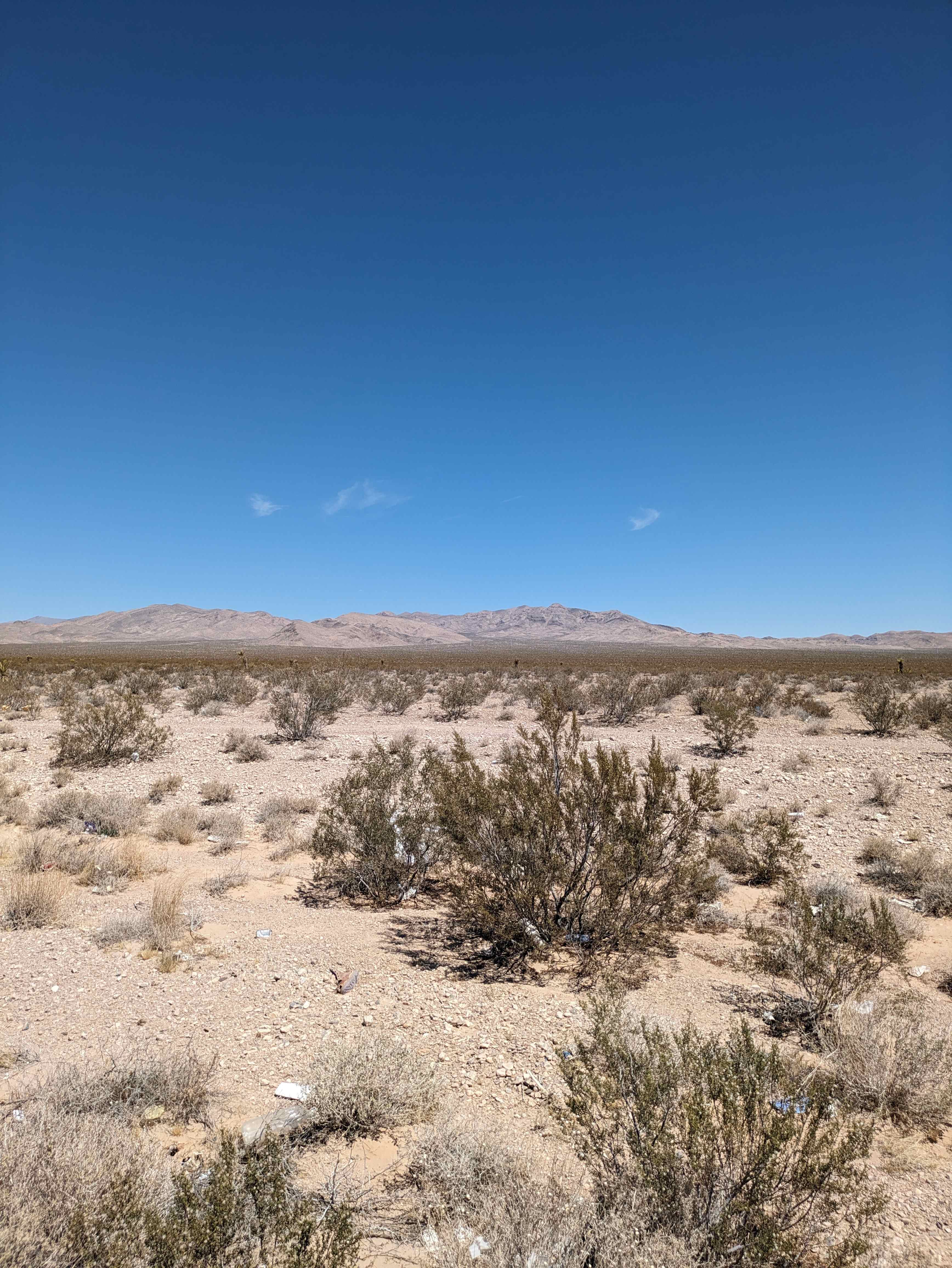 Pahrump Land, Desert Tranquility.