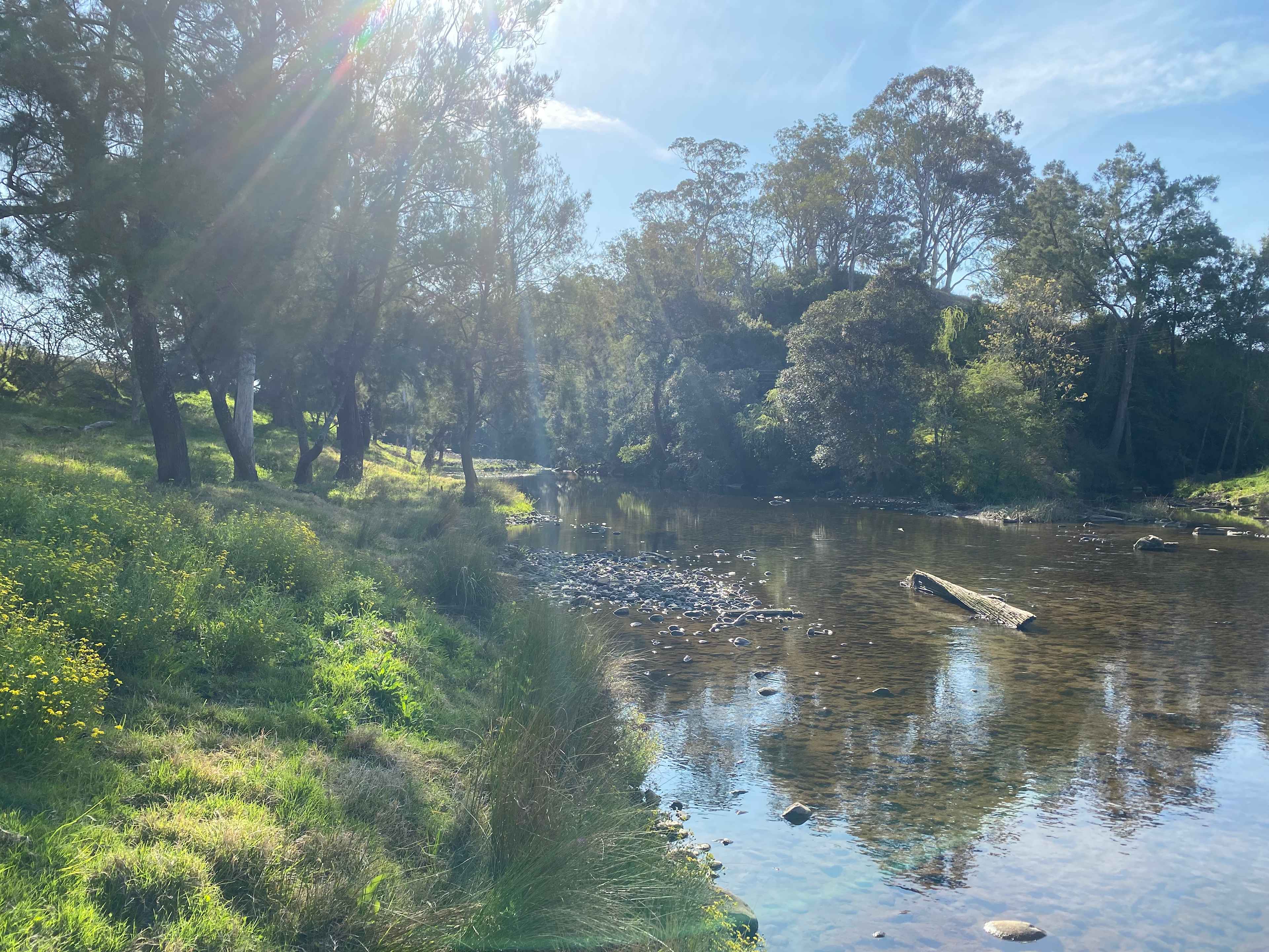 Eudlo Riverside Camp