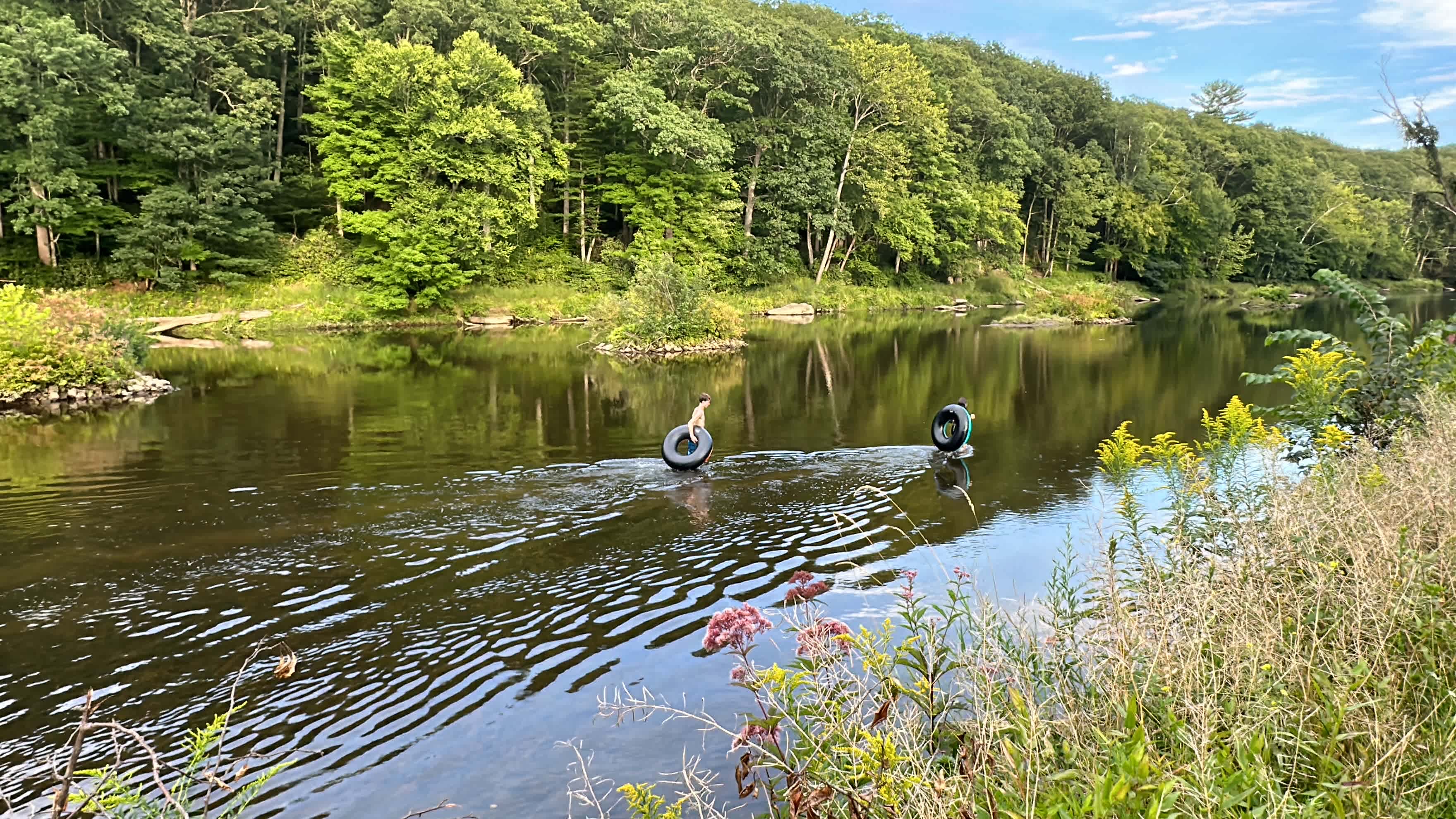 Clarion River View