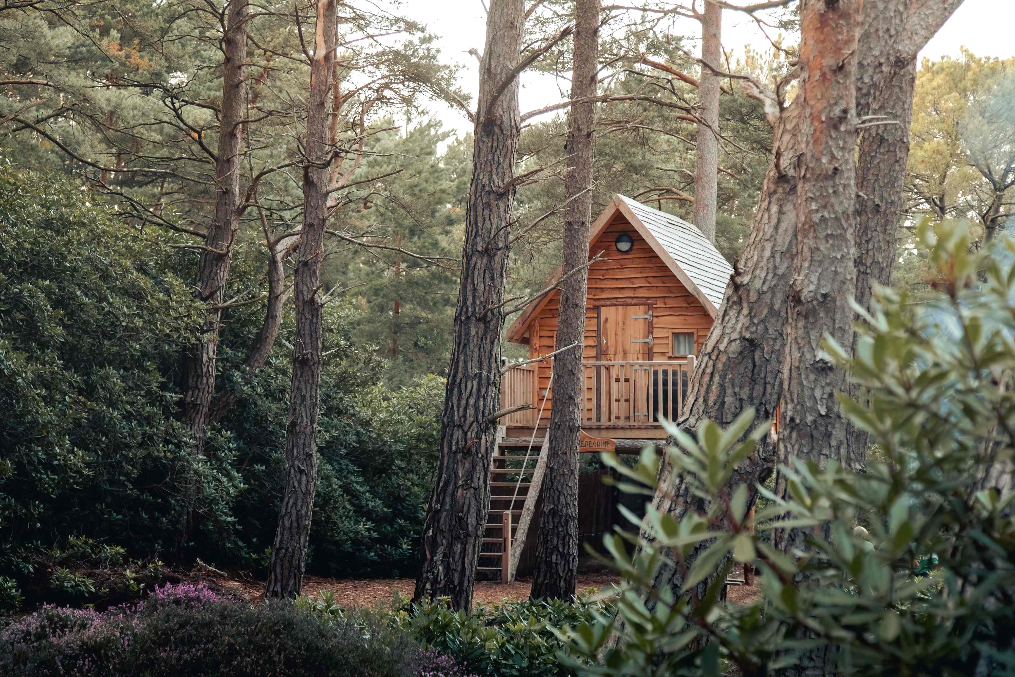 Tucked away in a quiet corner of the site, the Peregrine treehouse is designed for a family of four.