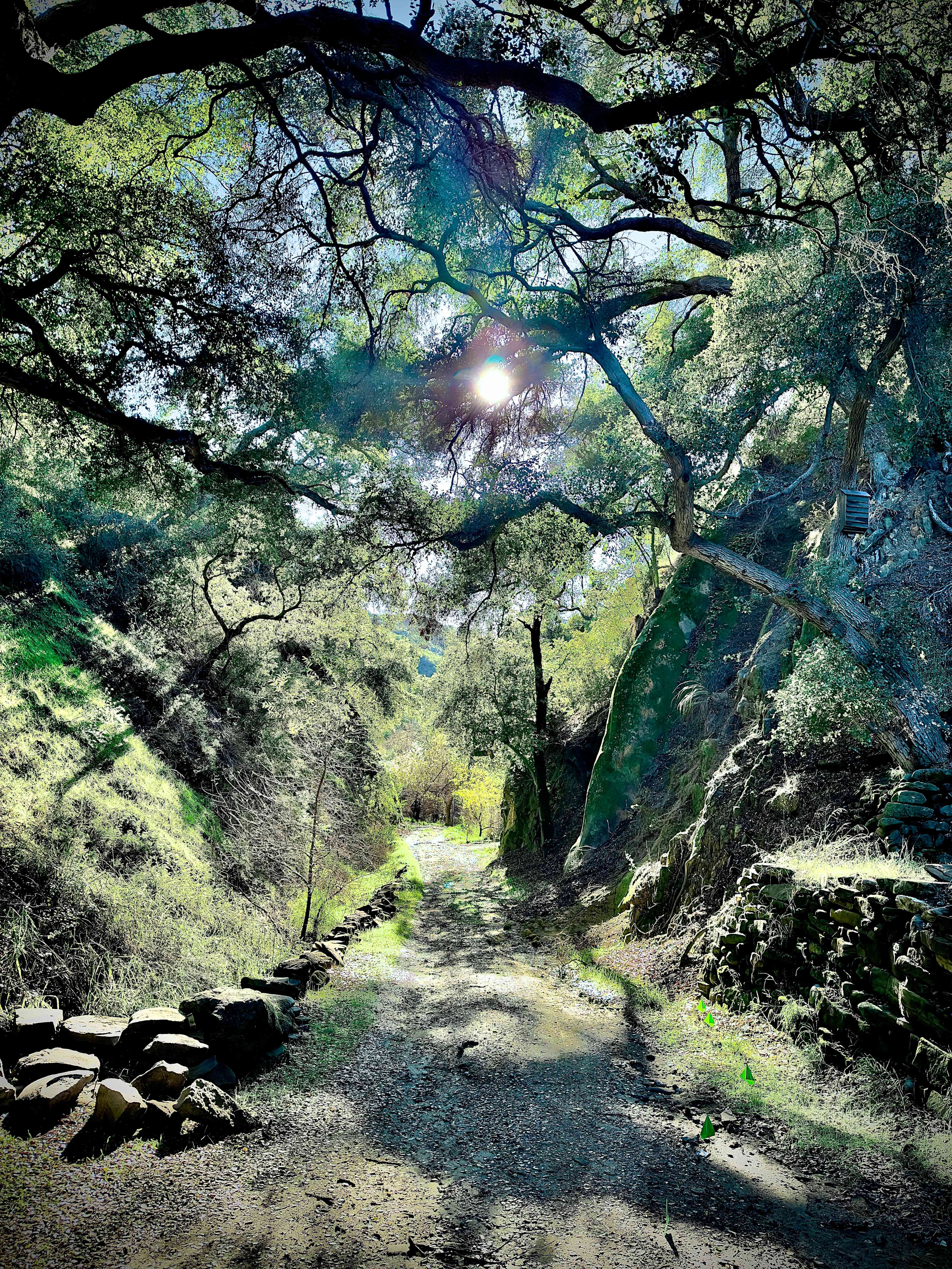 Malibu Creek Orchard Retreat
