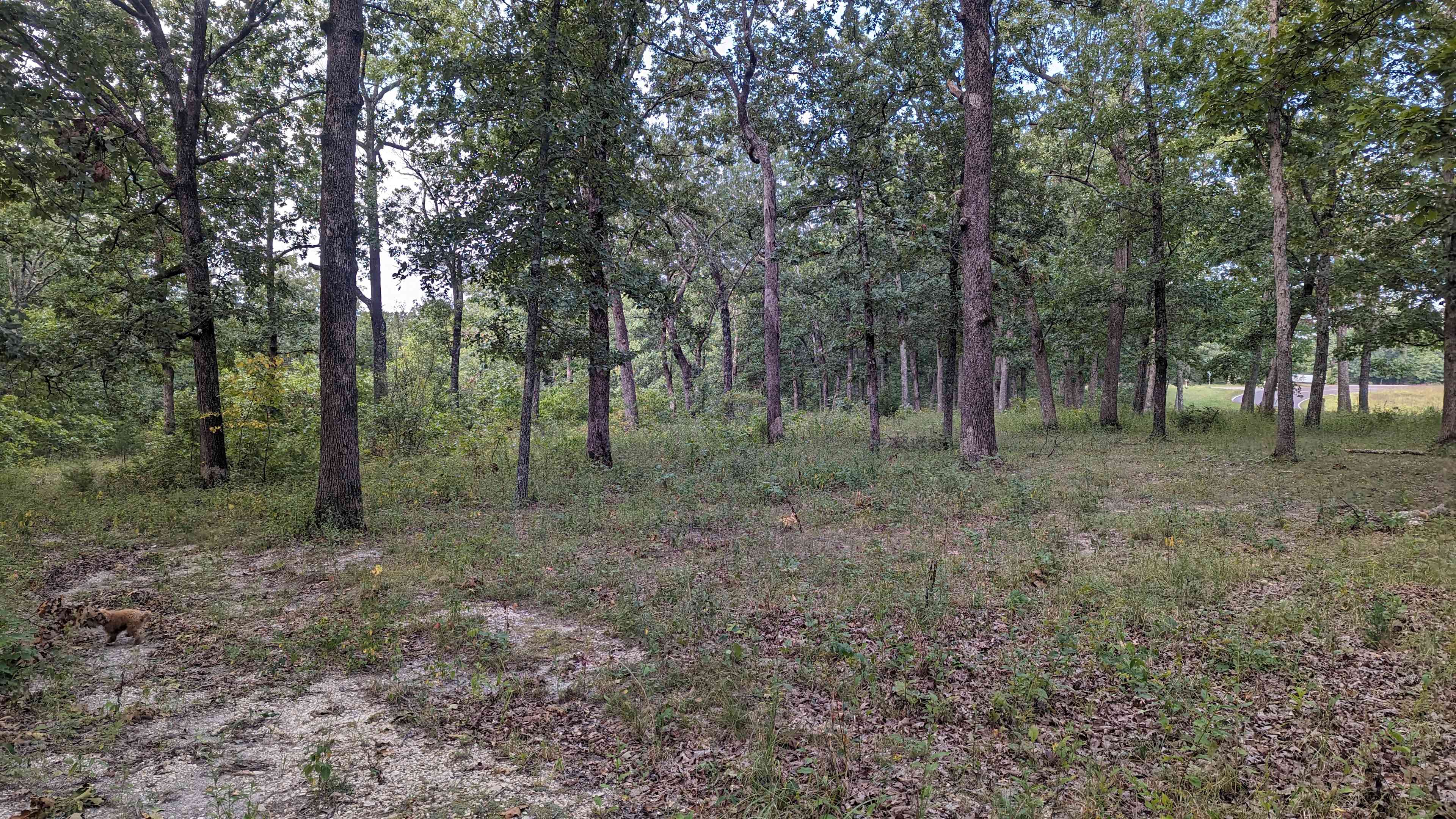 Camping Area 