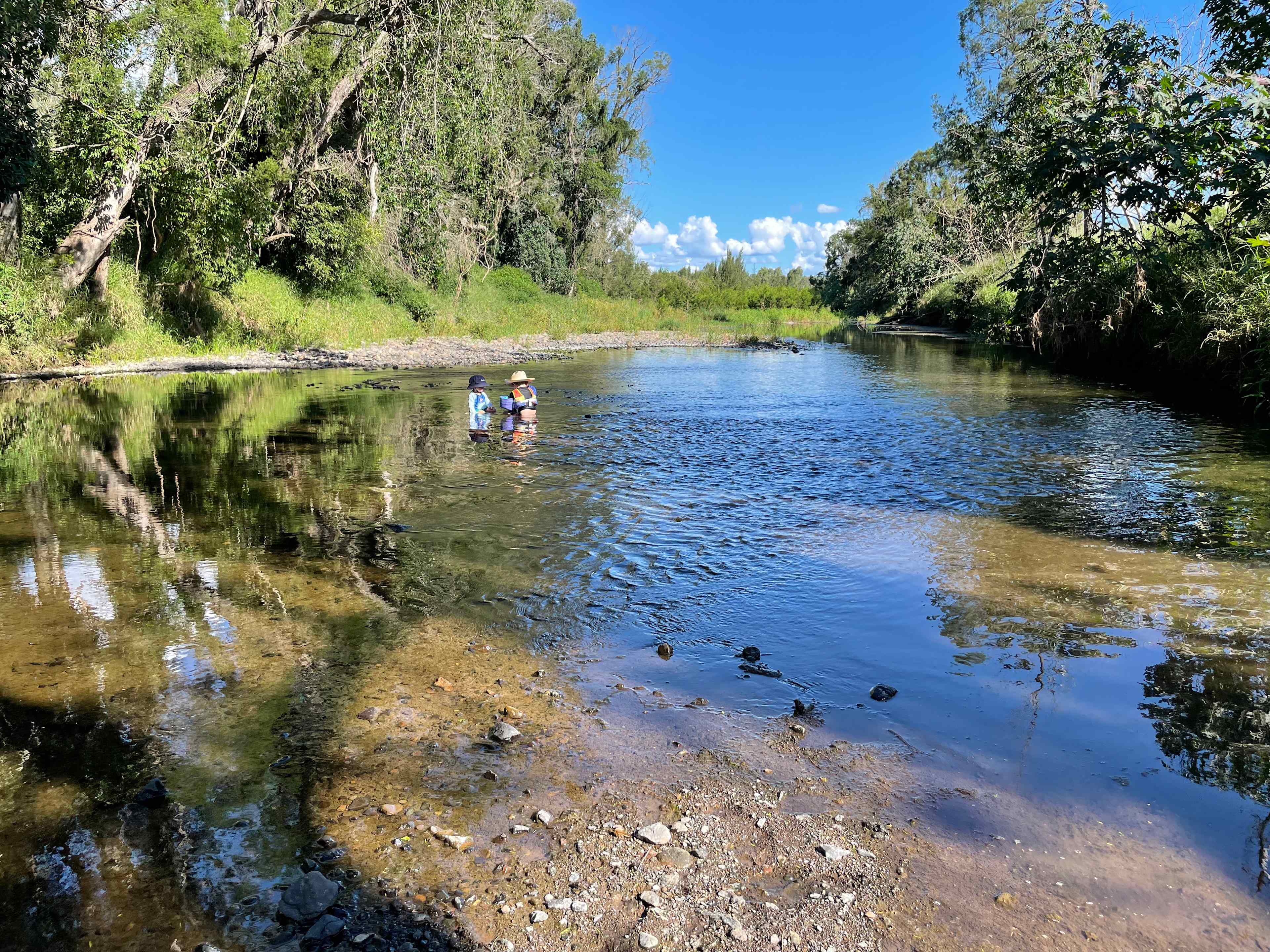 Warrill Creek 