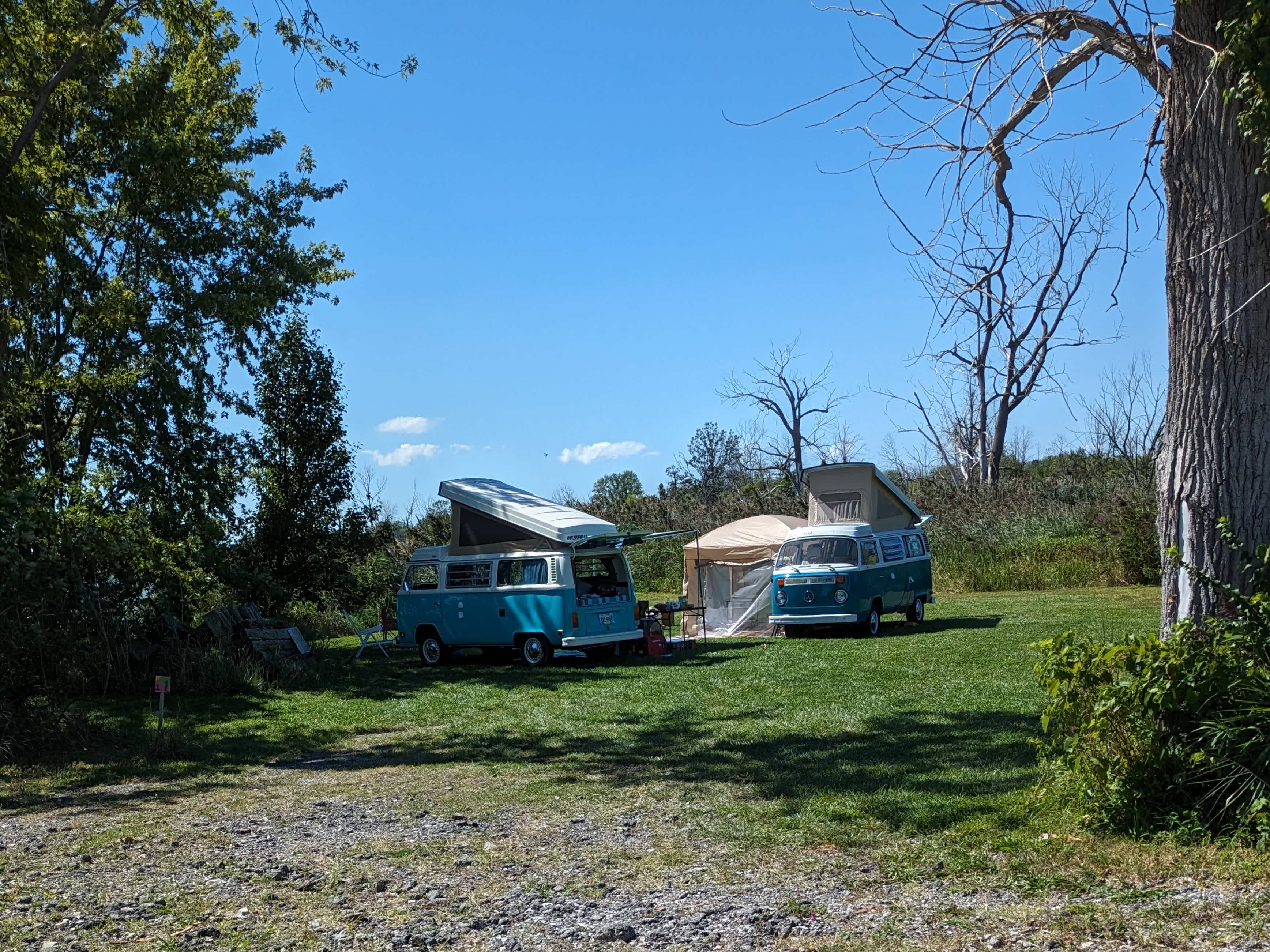 Site #1