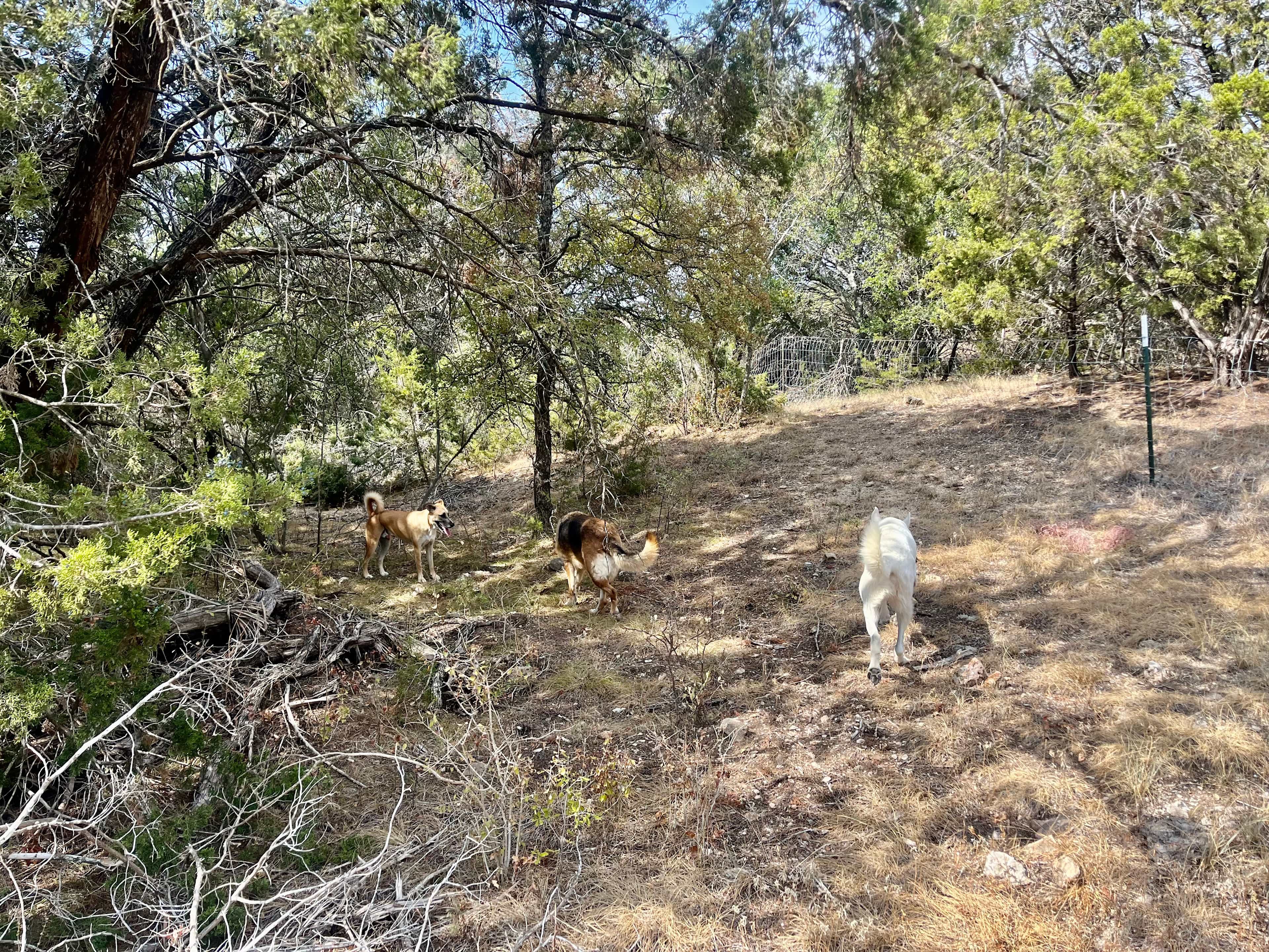 Future Campsite