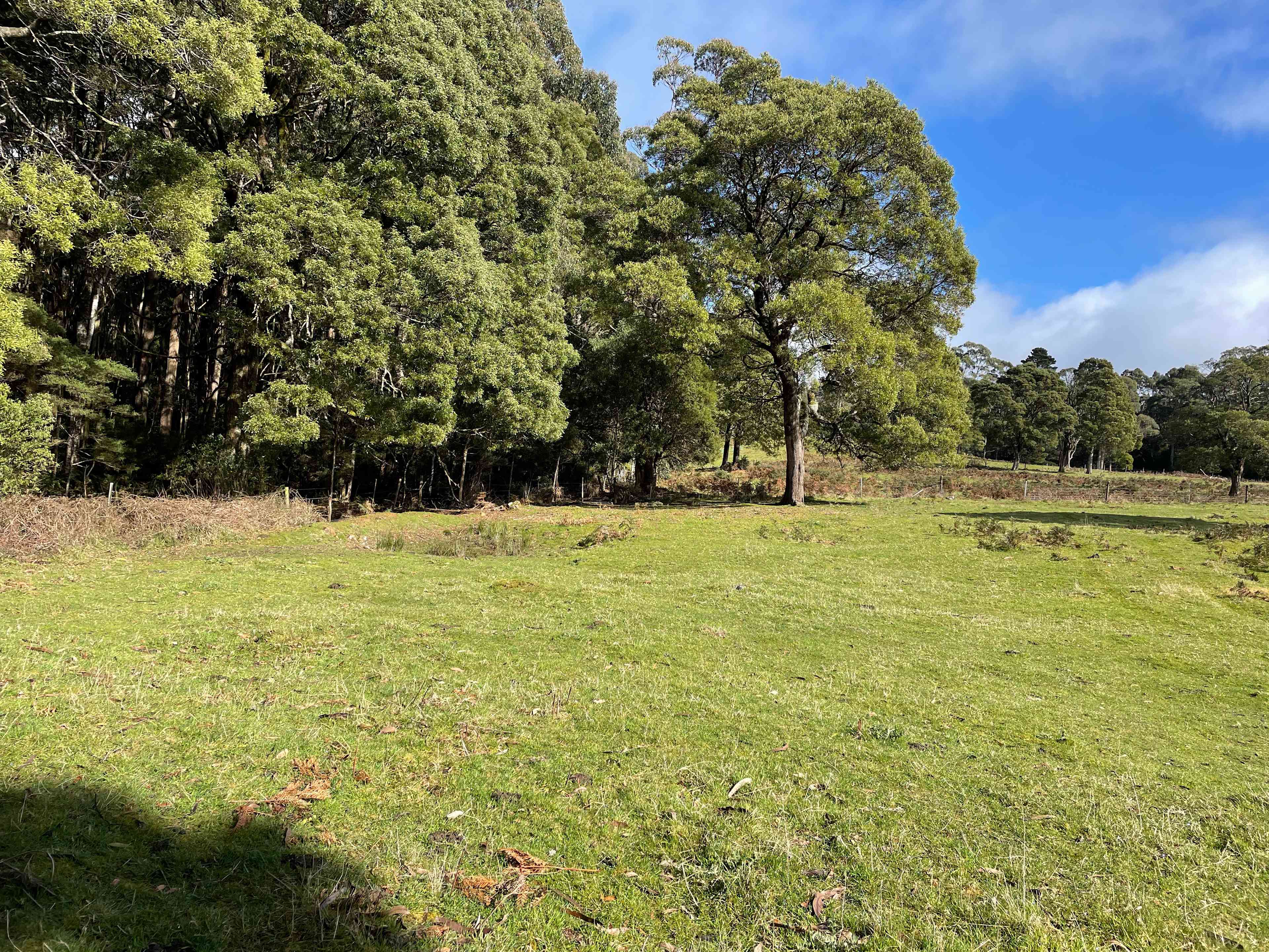 Camp area