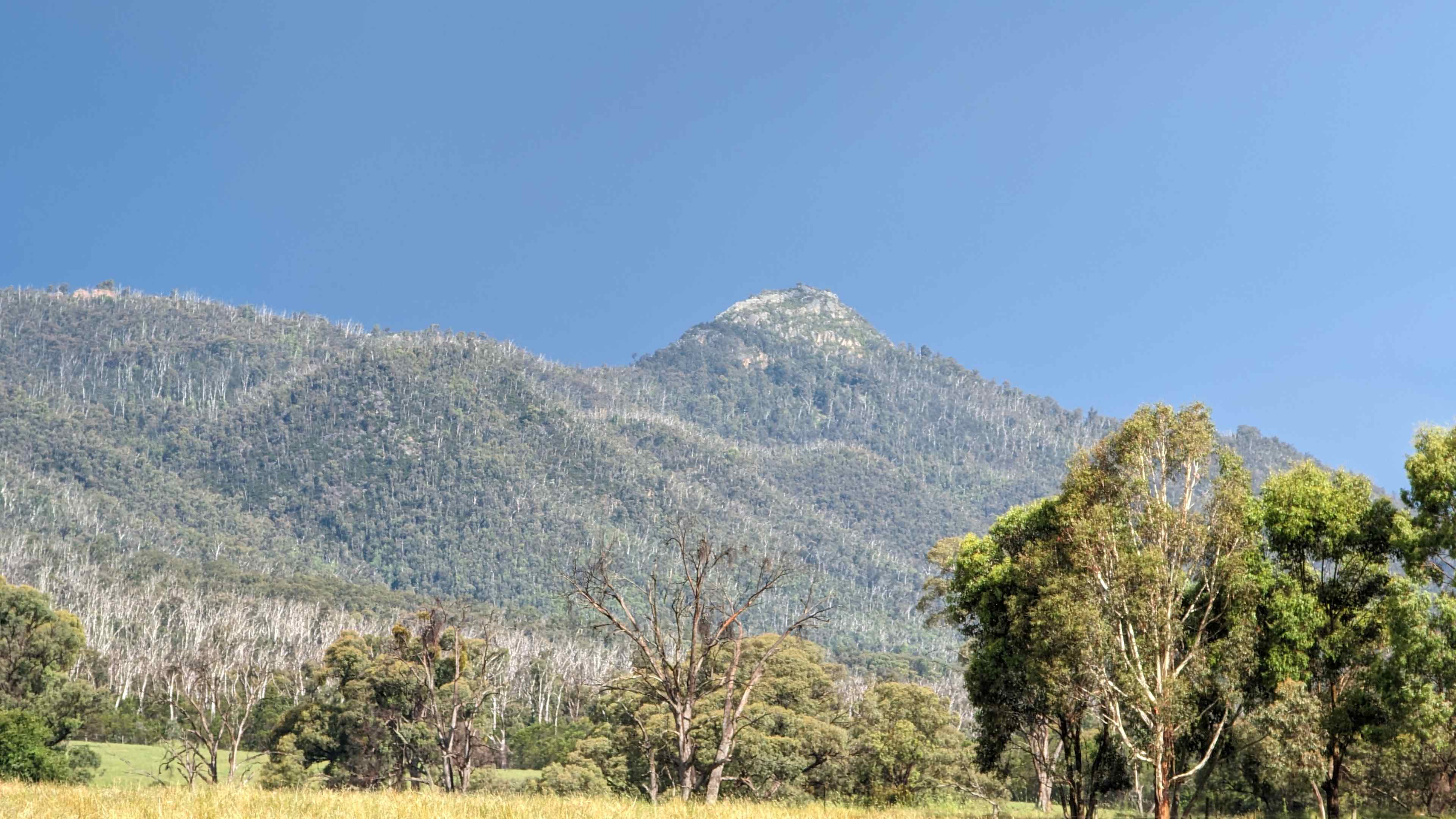 Nanadhong Views