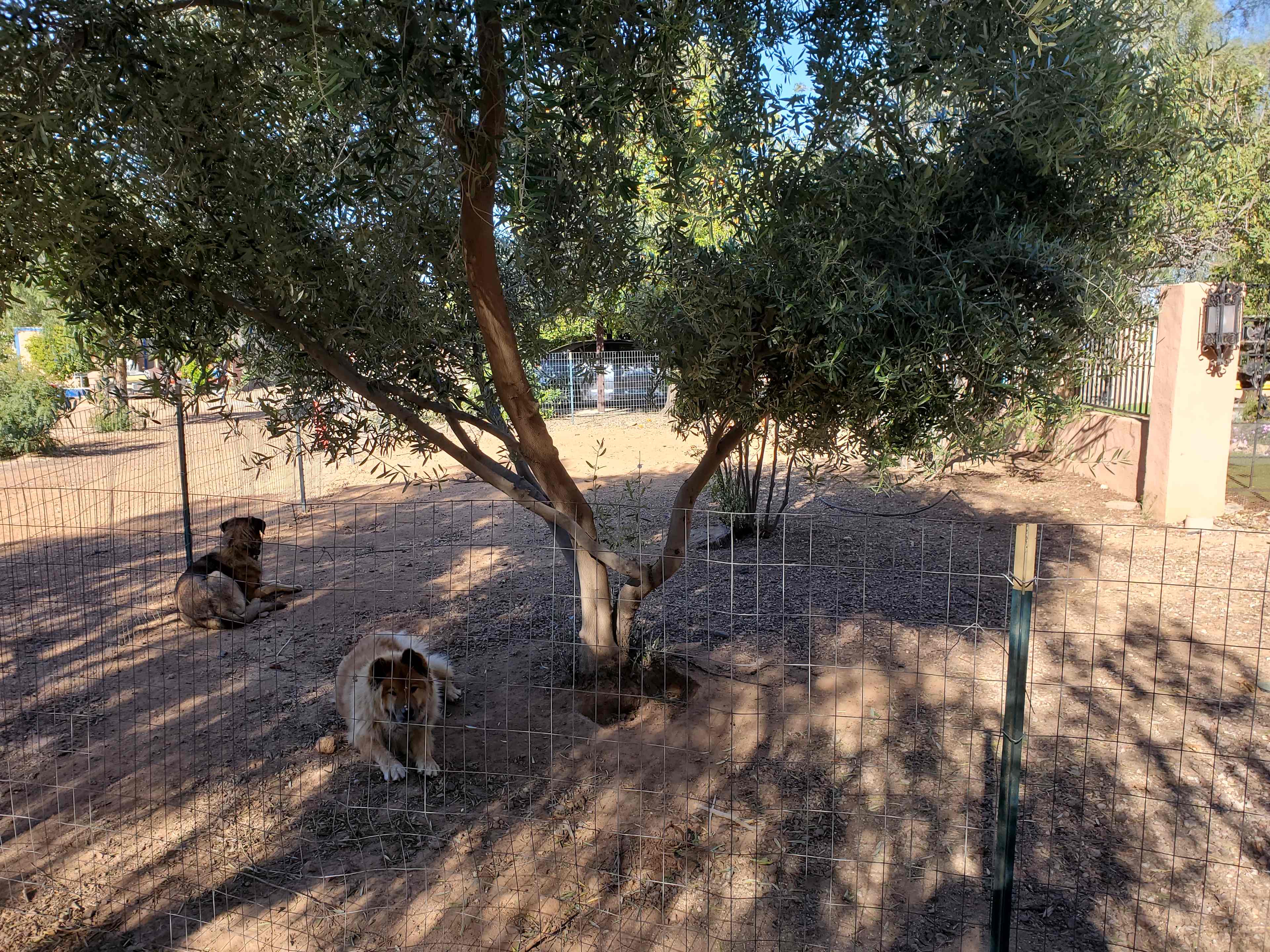 Double H Hacienda