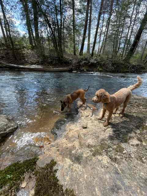 The River