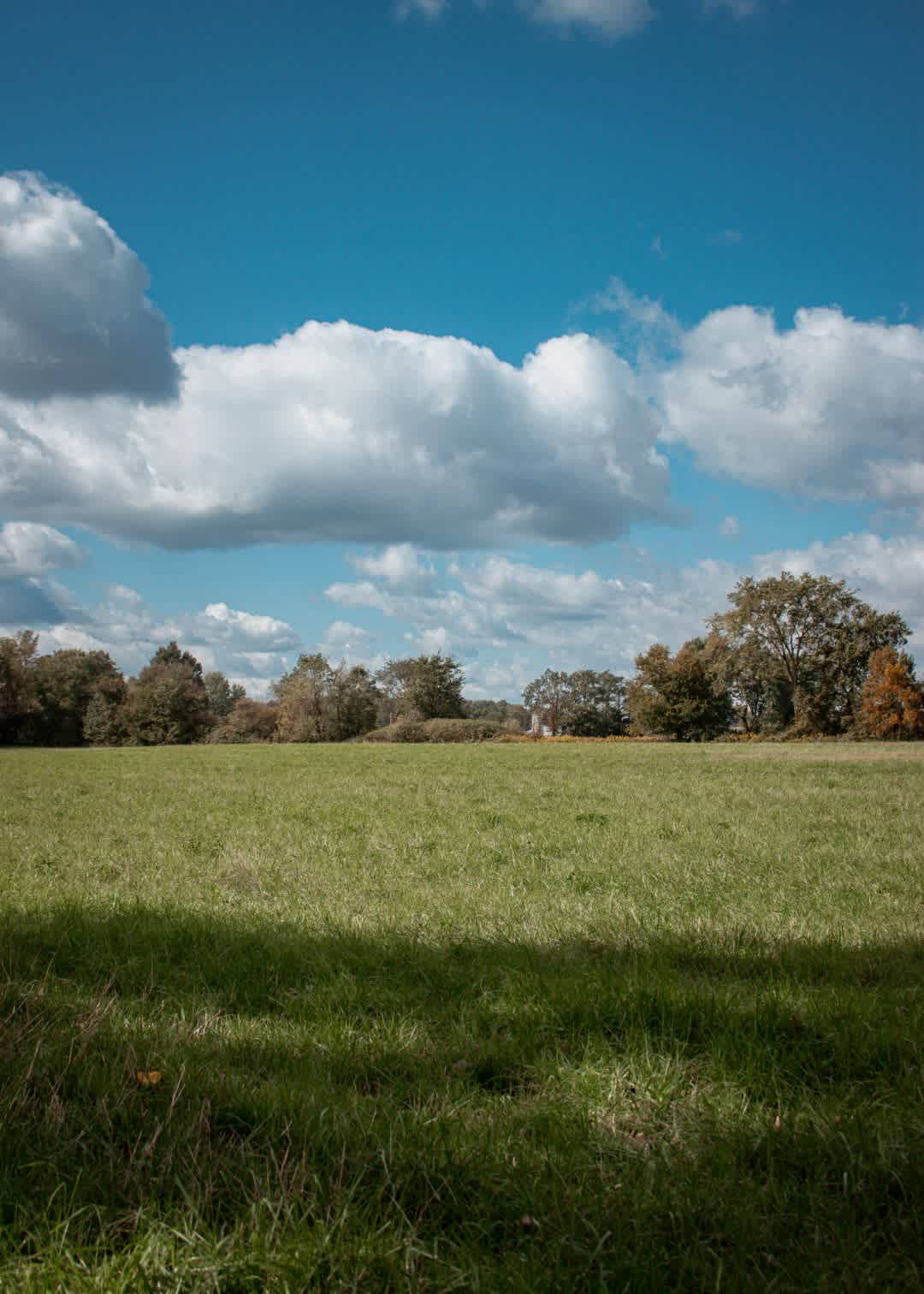 Piper’s Perch Open Field Camp