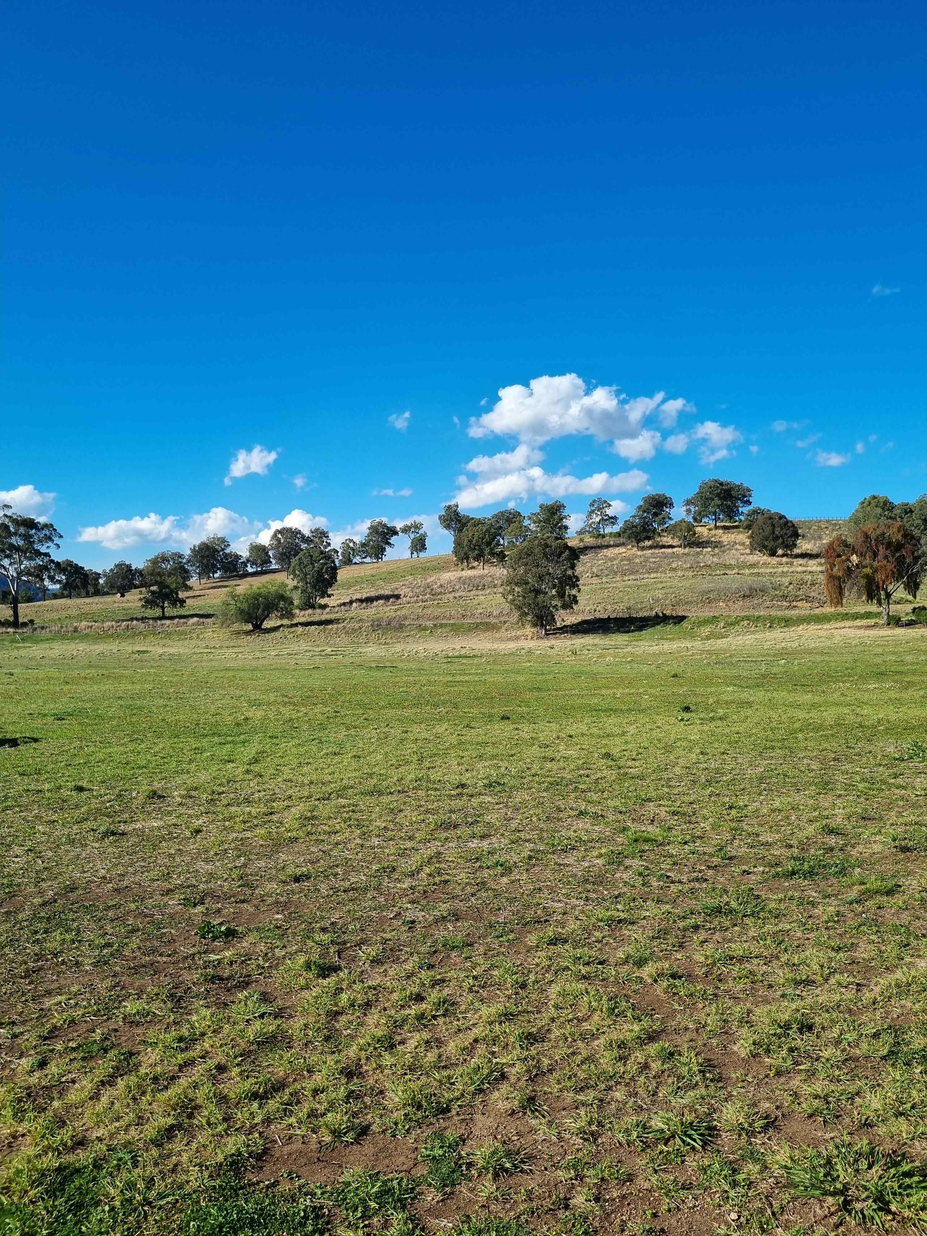 Elliam Farm