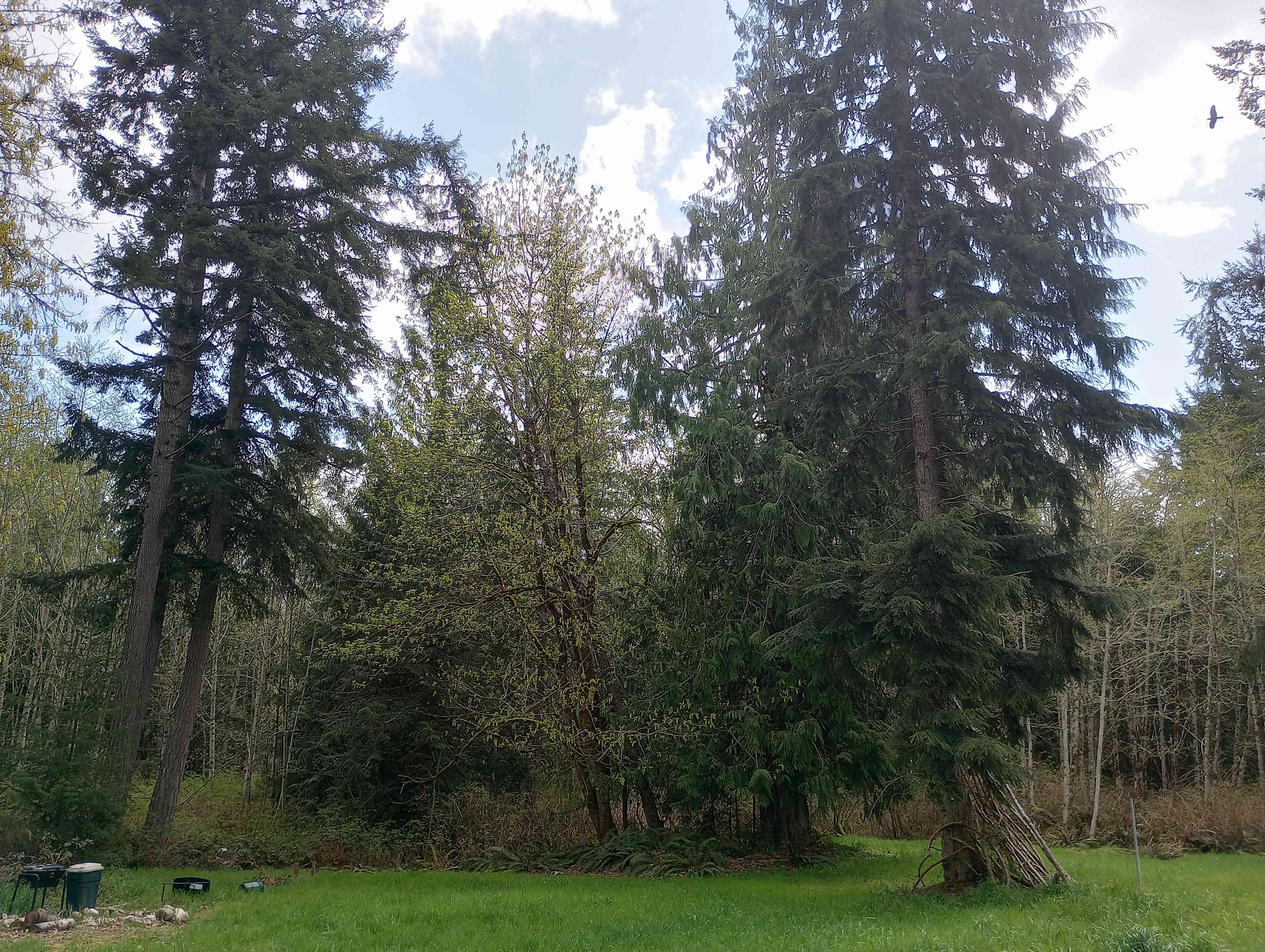 Quiet and preserved here, may you find peace and stillness