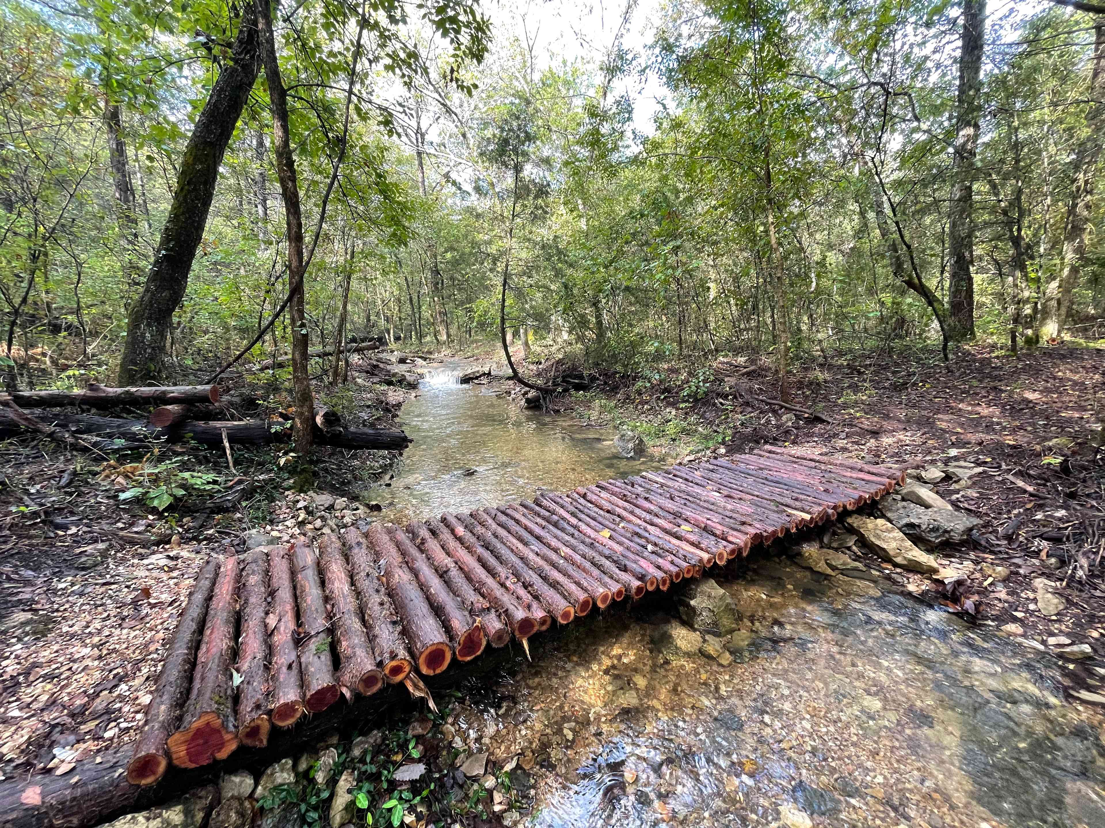 The best river, stream, or creek campgrounds near Eureka Springs