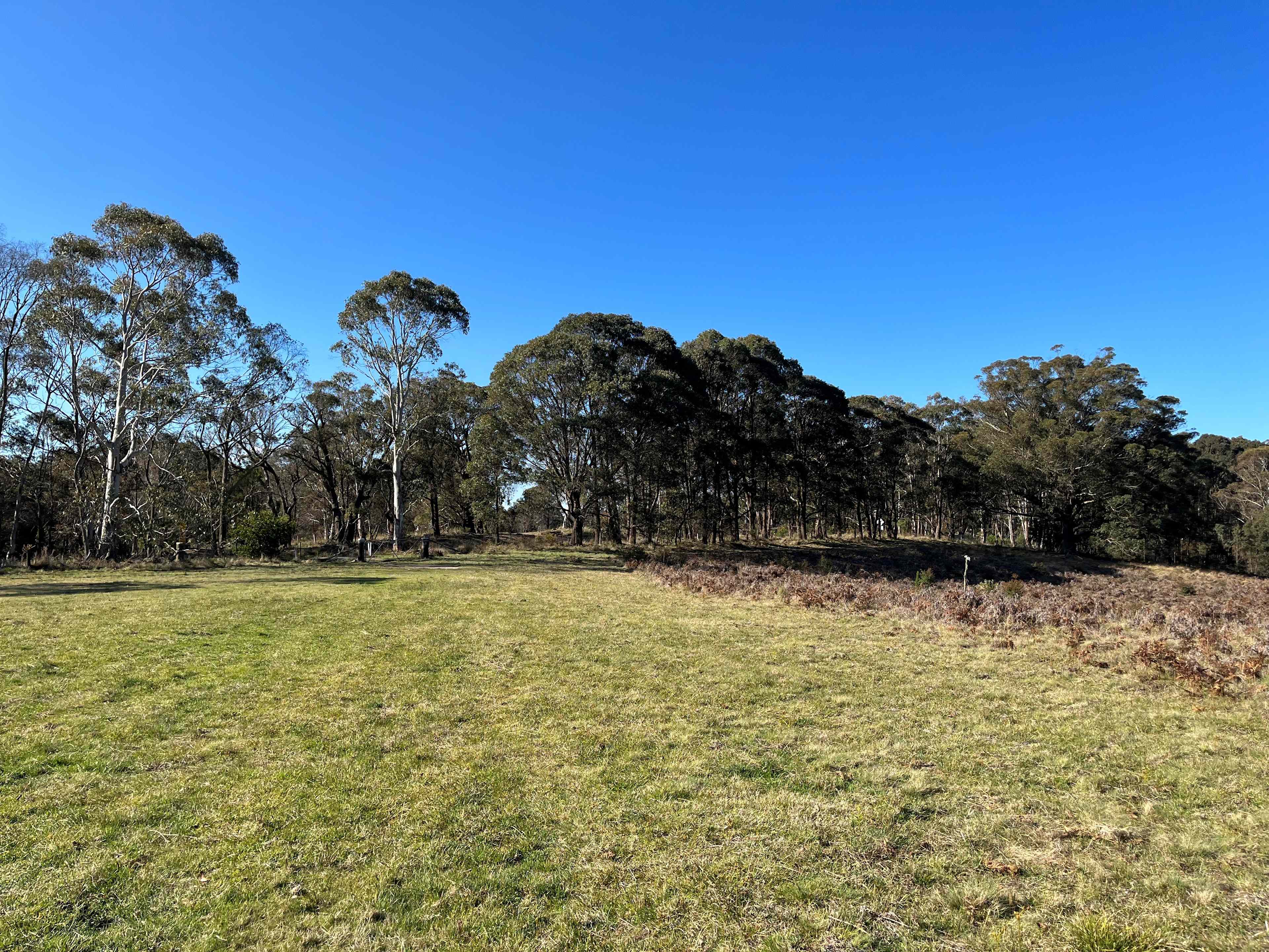 The Old Air Strip