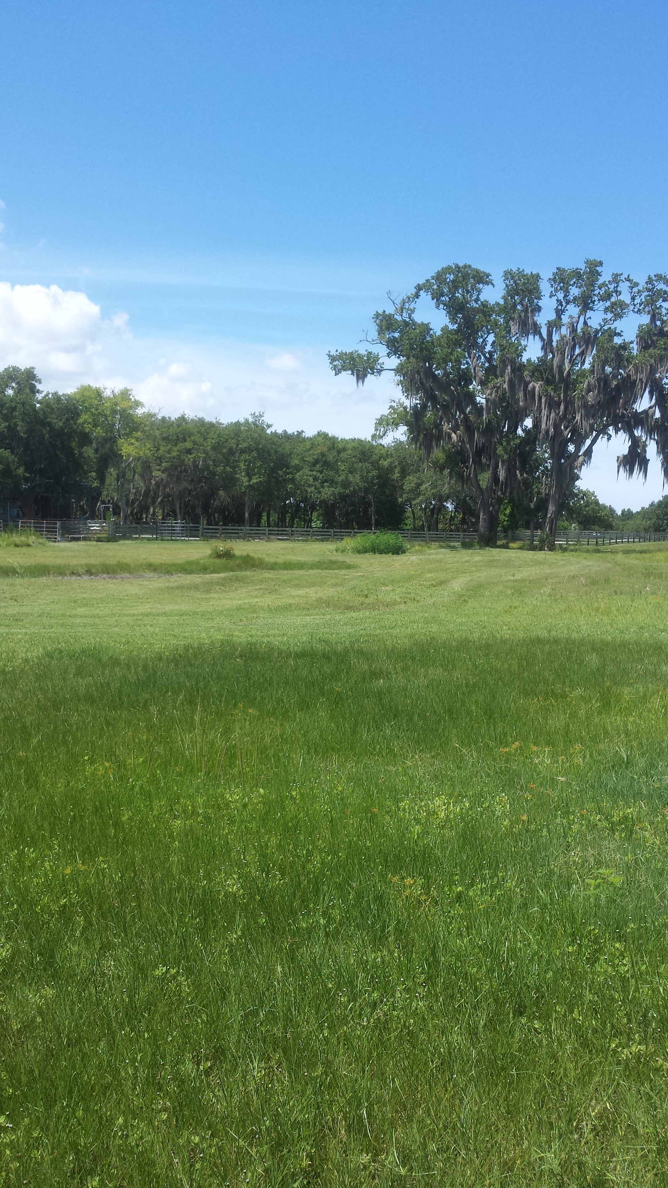 DragonFly Island 5/0