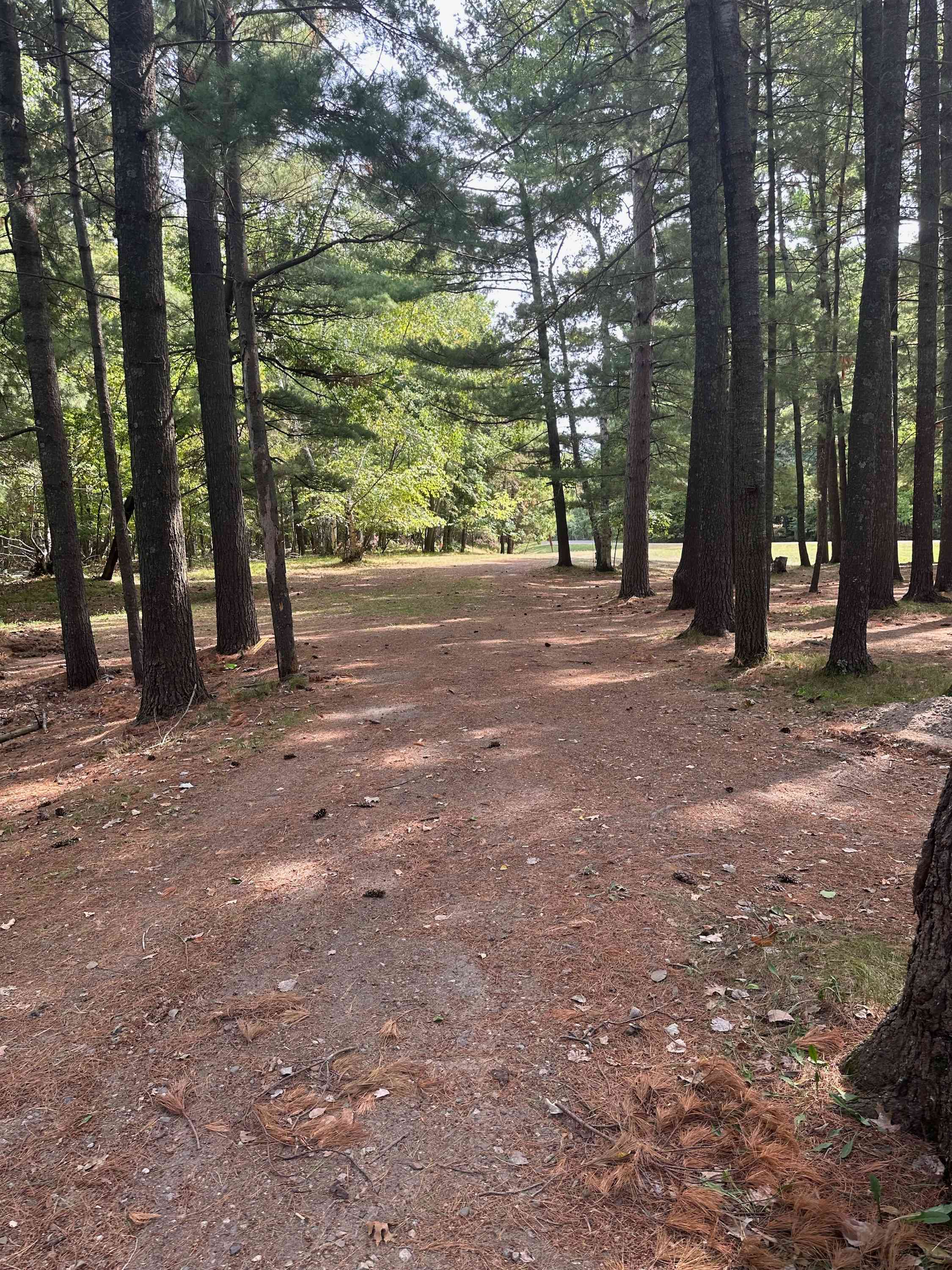 Driveway. All RVs and Cars must be parked in driveway of property.
