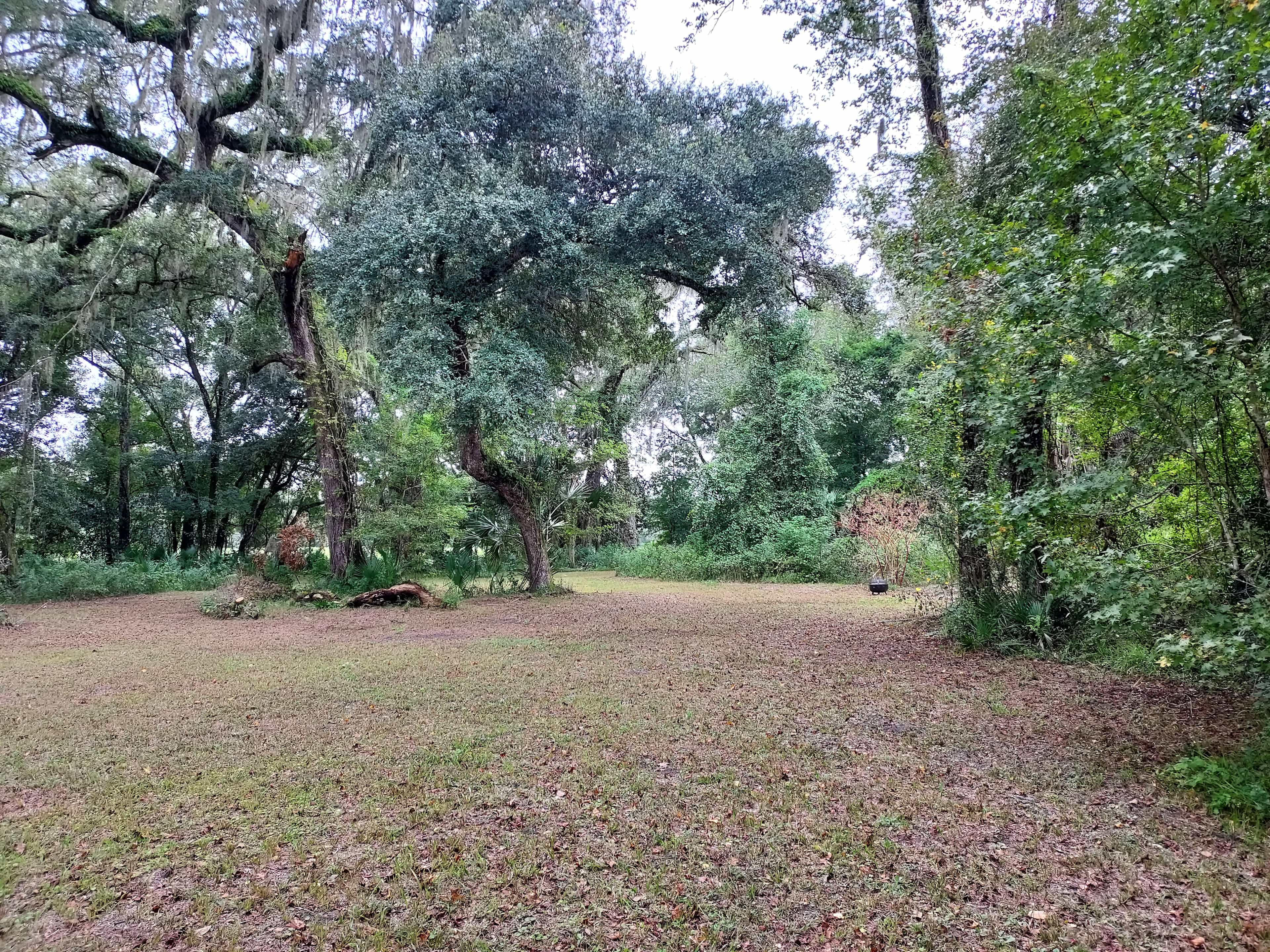 Sumac Habitat Bushnell, FL