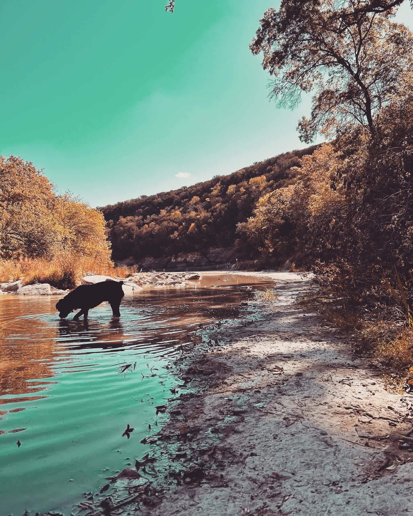 Pecans on the Paluxy - River Views