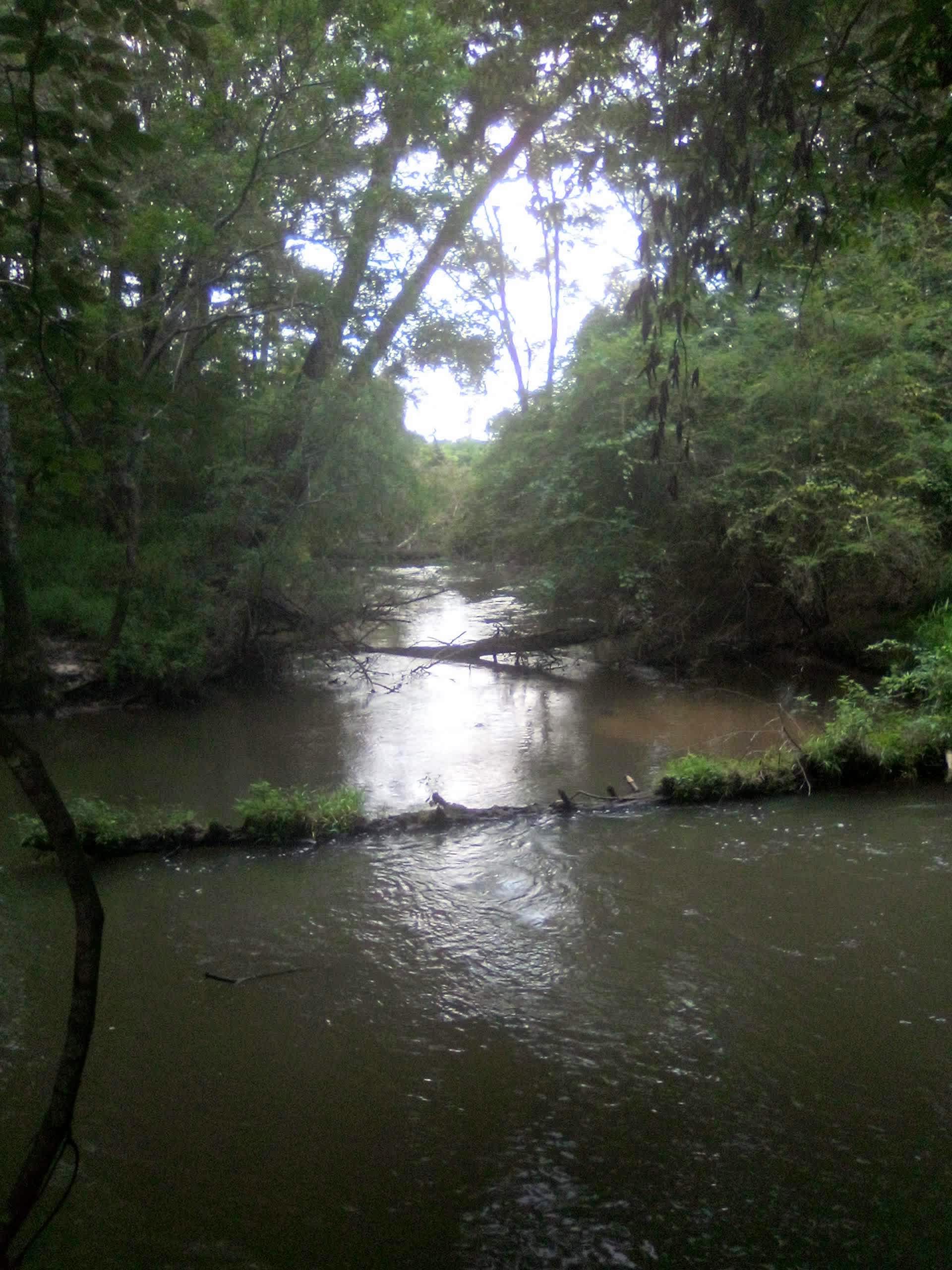 Tickfaw River cabin resort