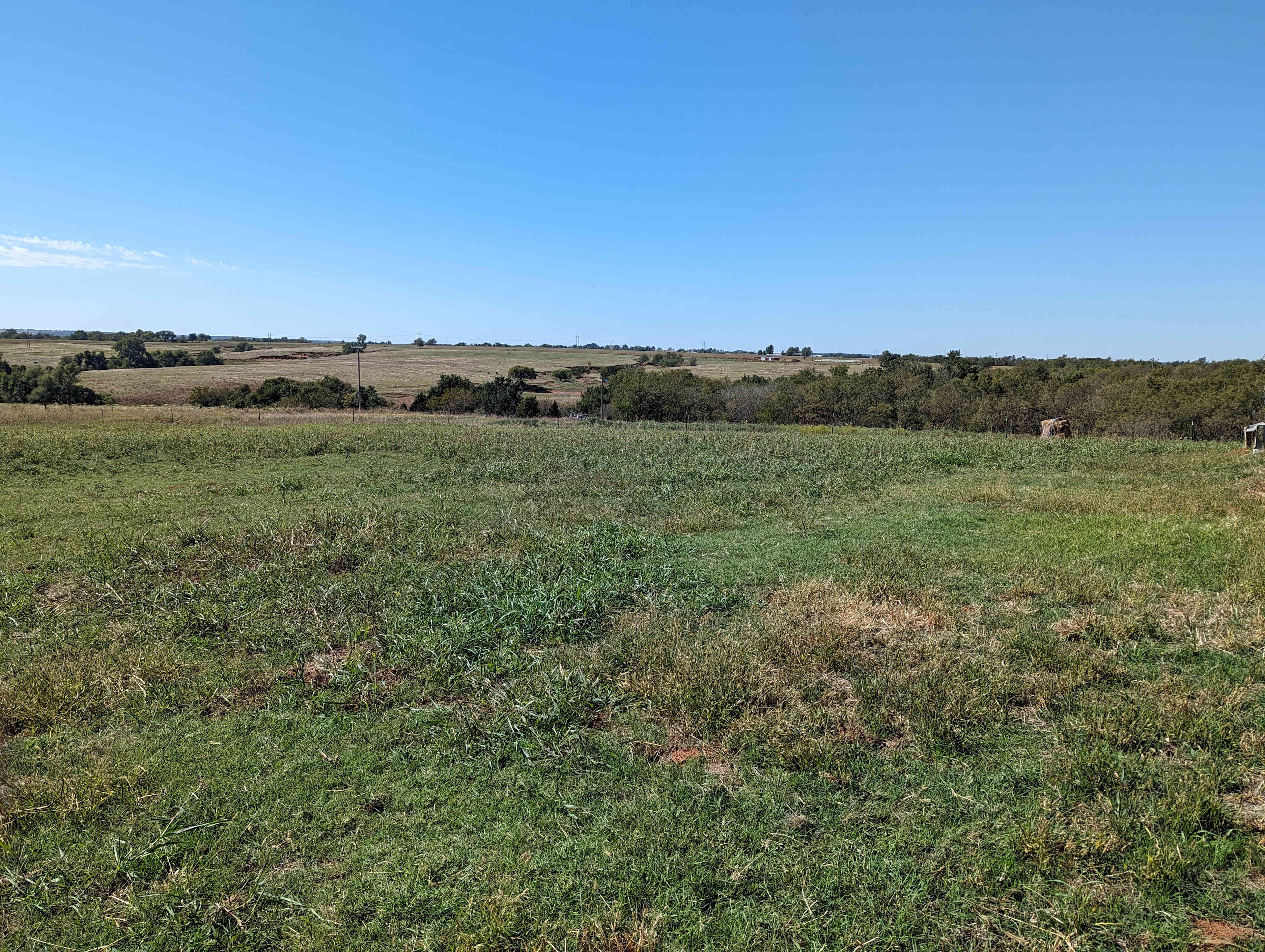 THE FARM