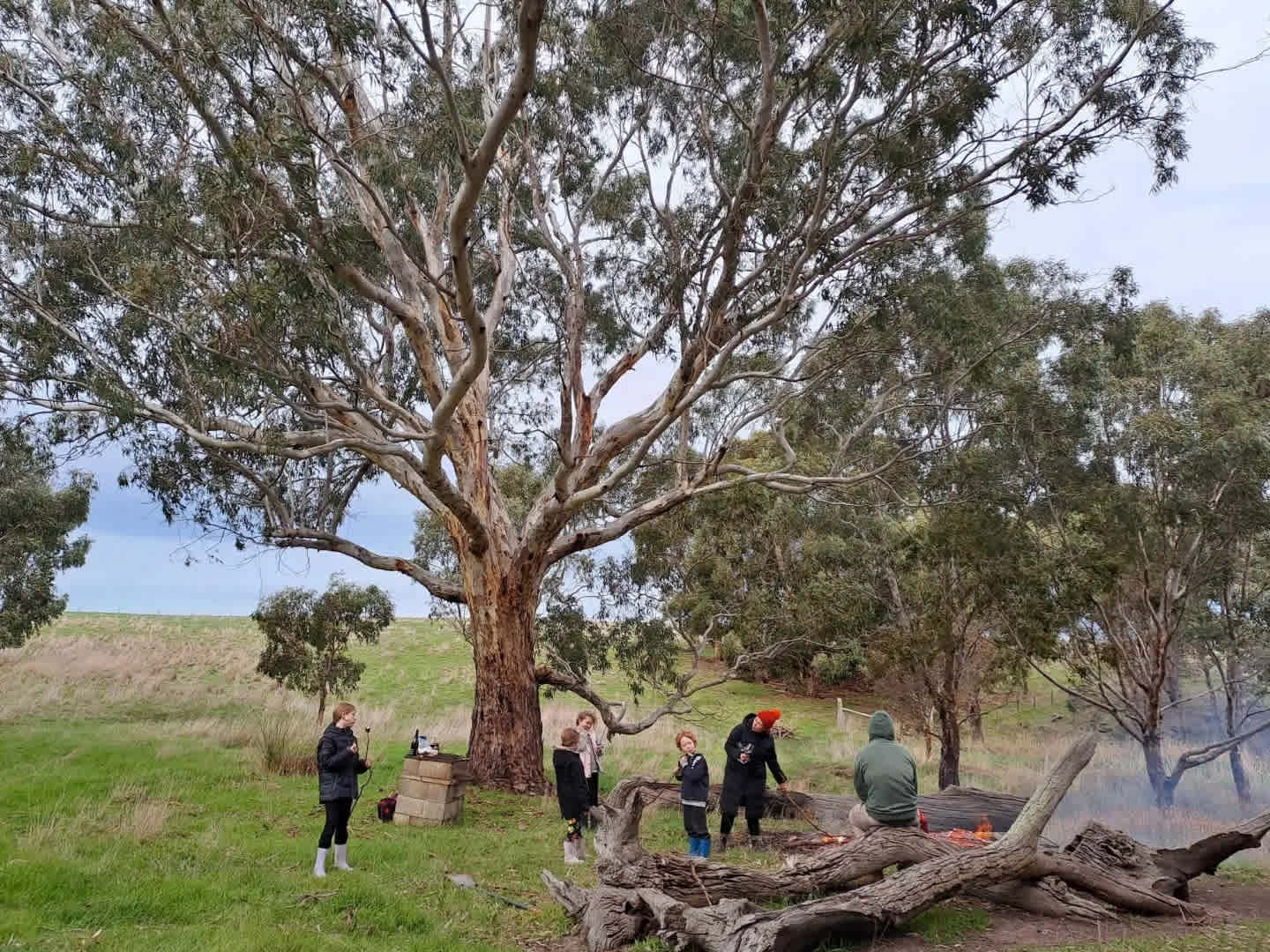 Waitpinga Ridge | Creek Camp Site
