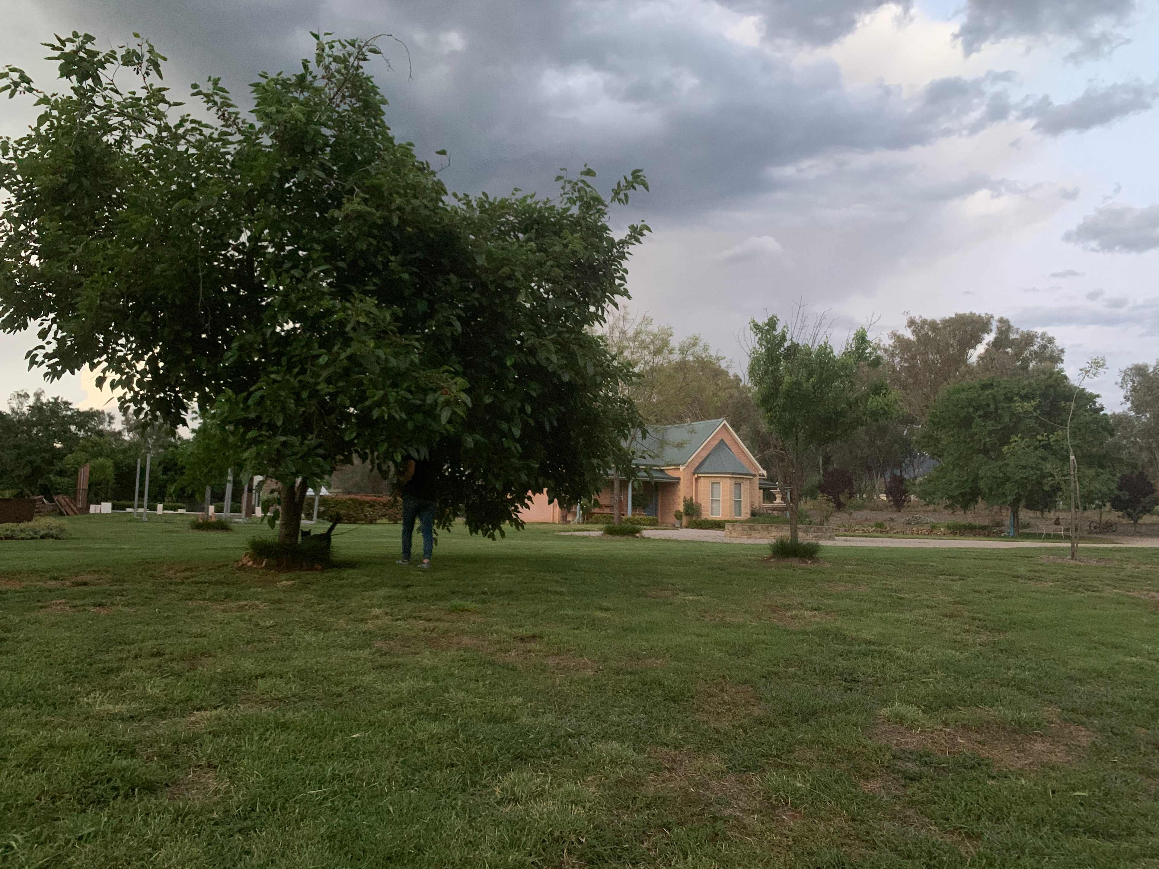 Oakey Farm