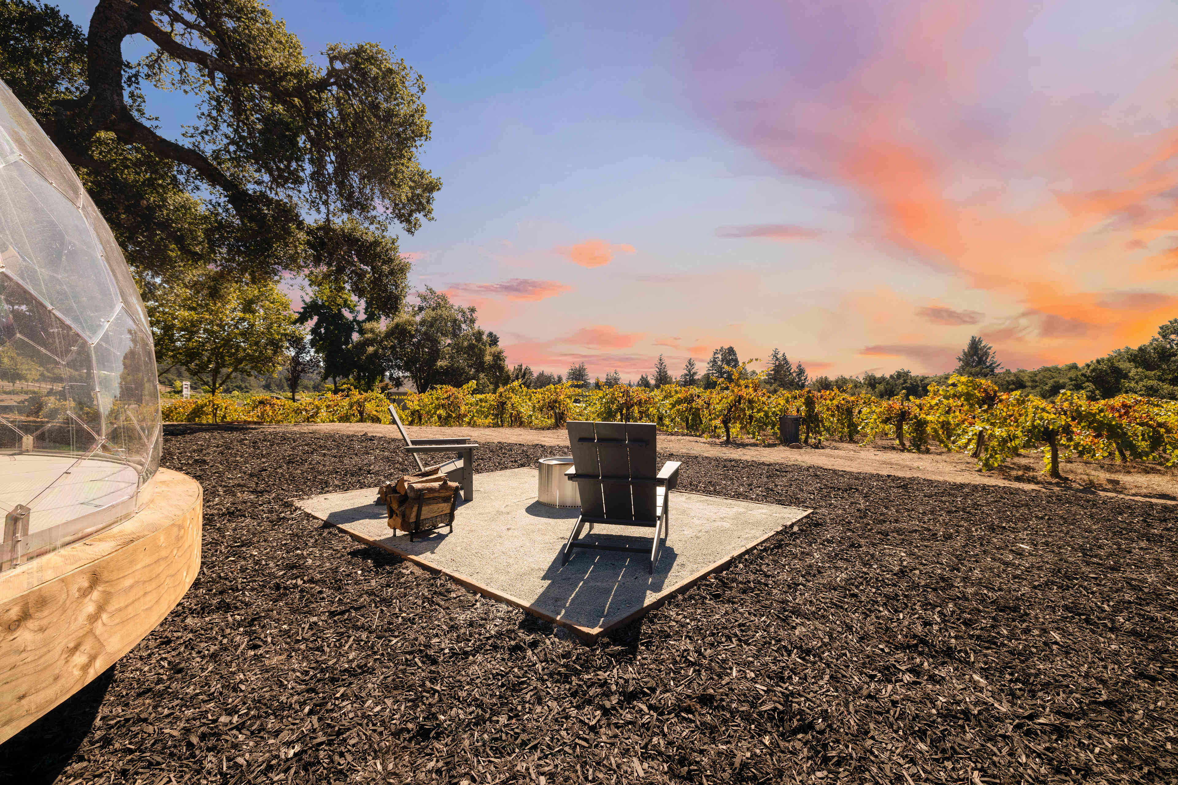 Hilltop Vineyard Dome Glamping