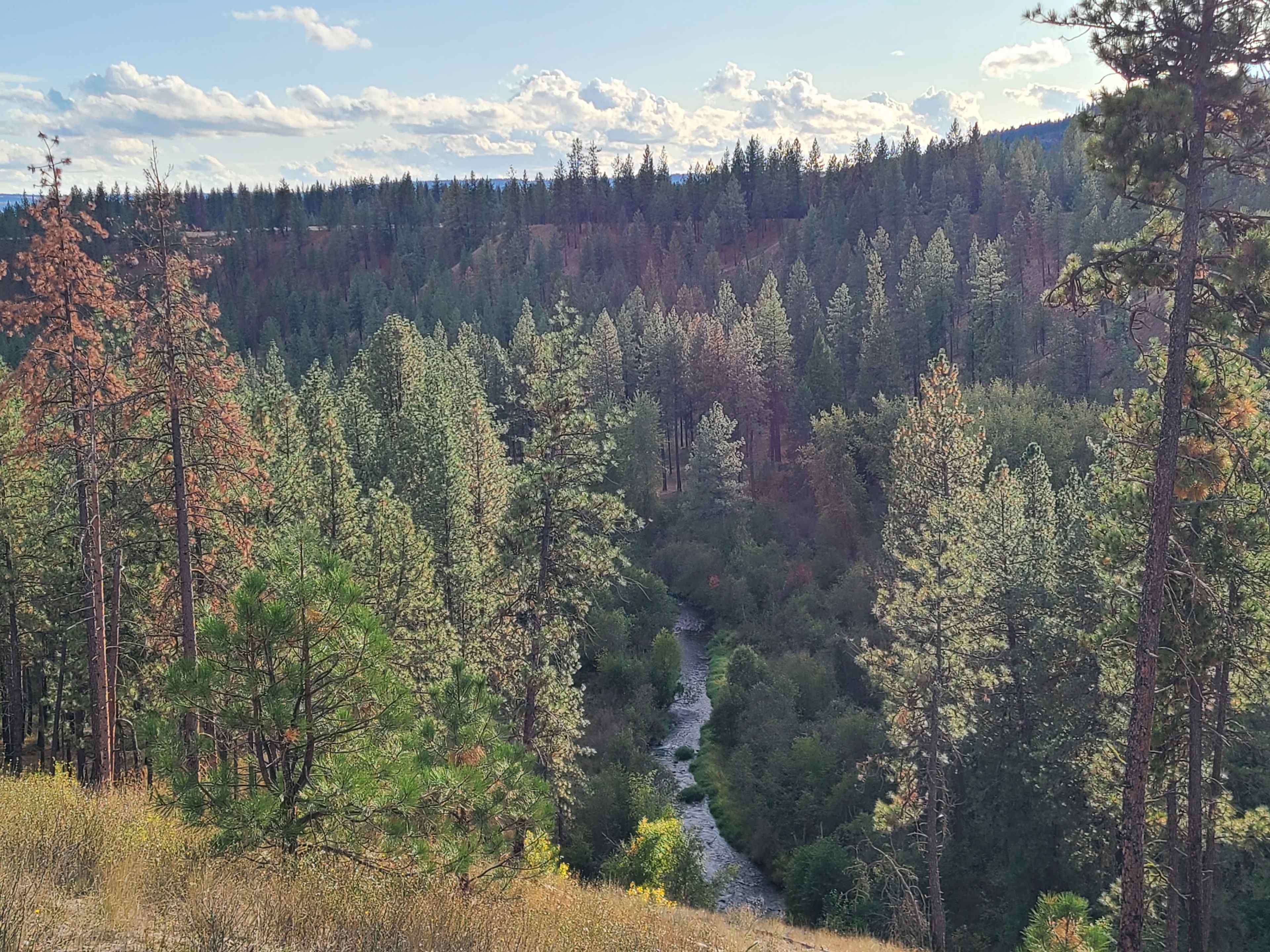 Misty meadows campground