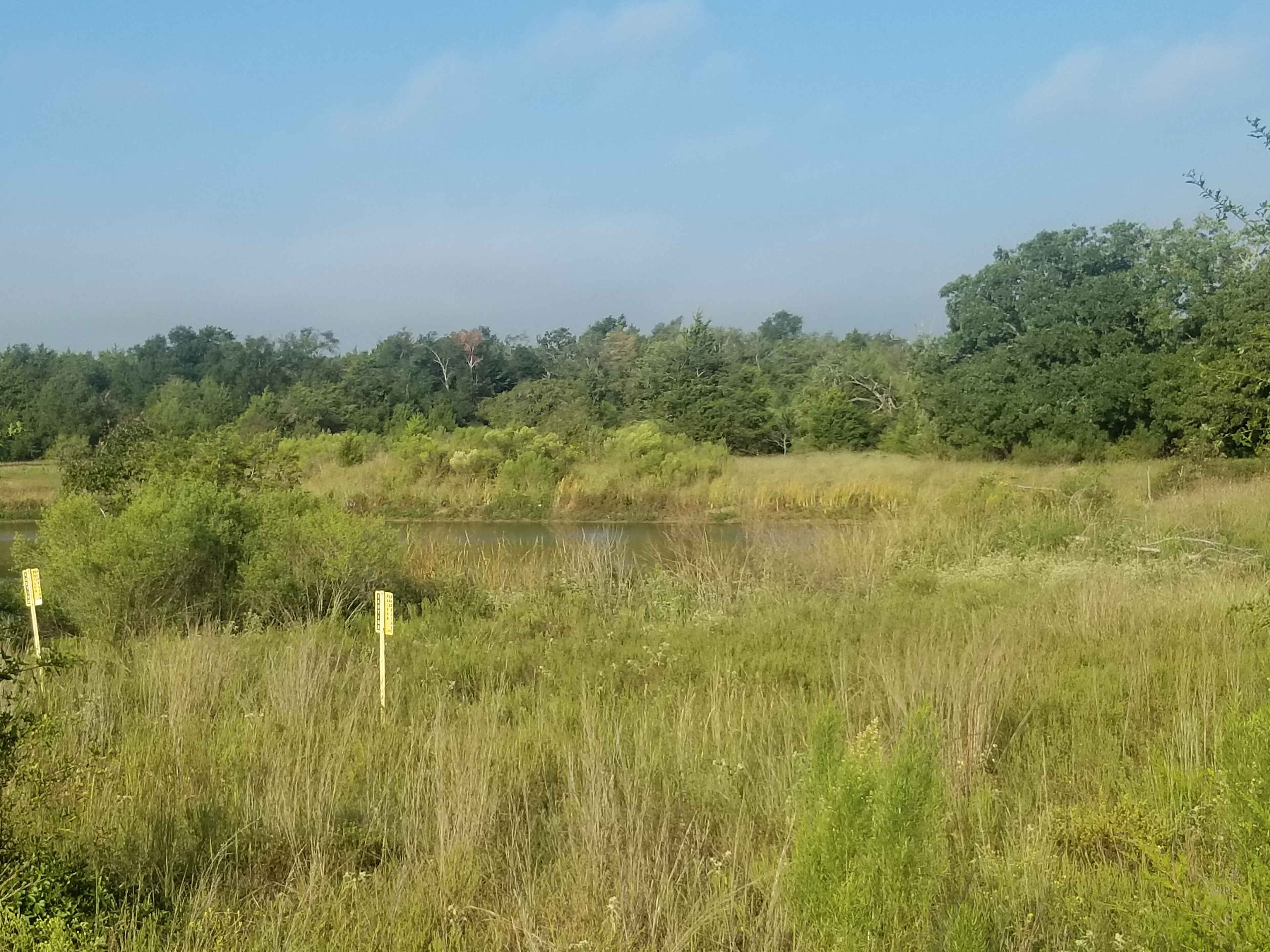 Fishing pond