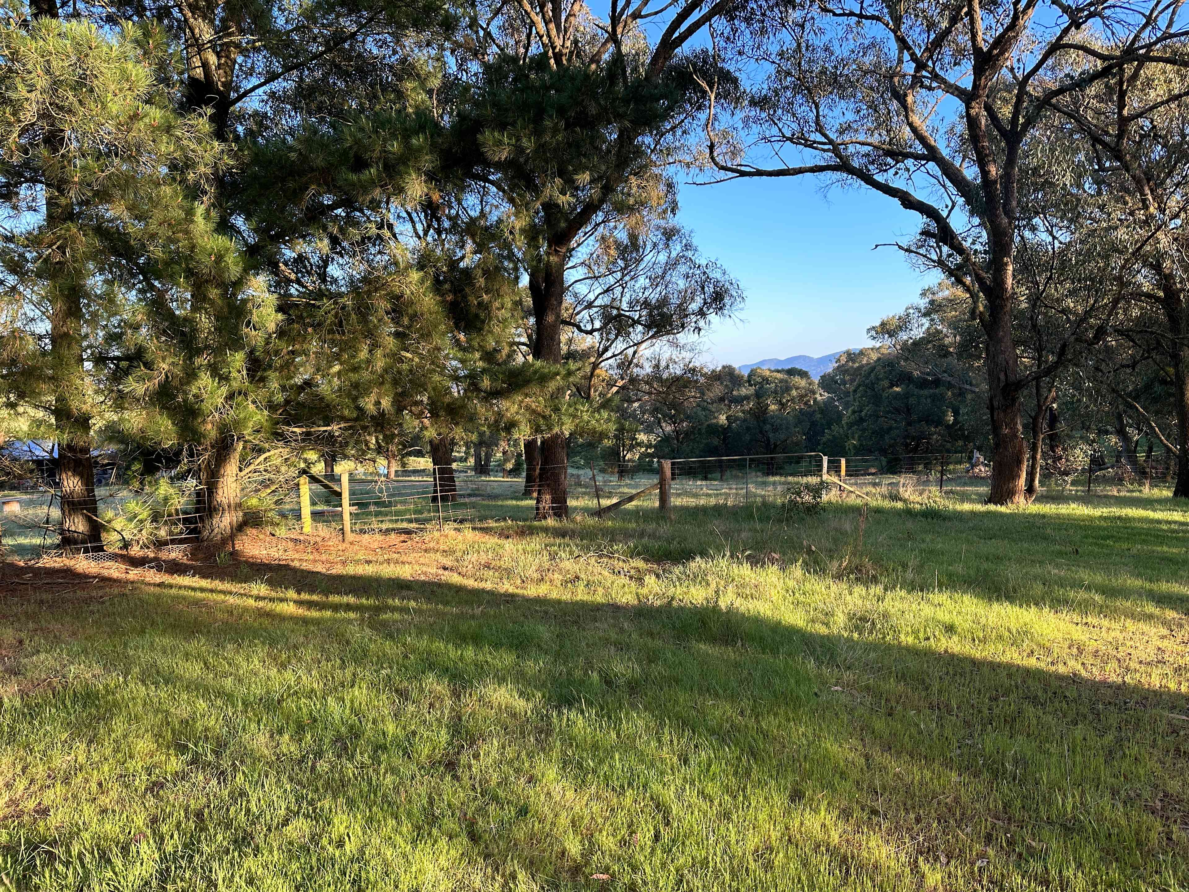 52 acre property with amazing views