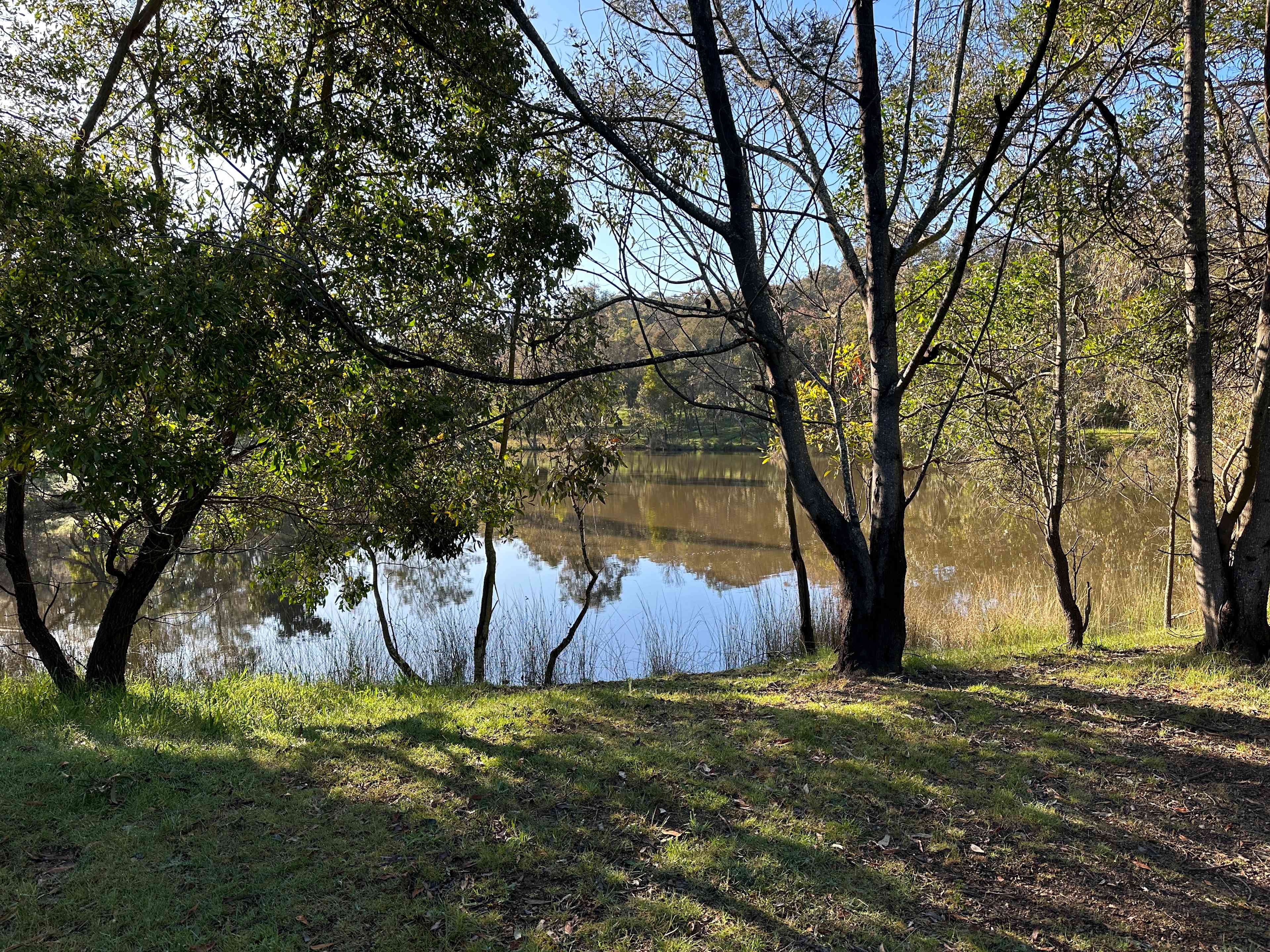 Reedy Creek Camping
