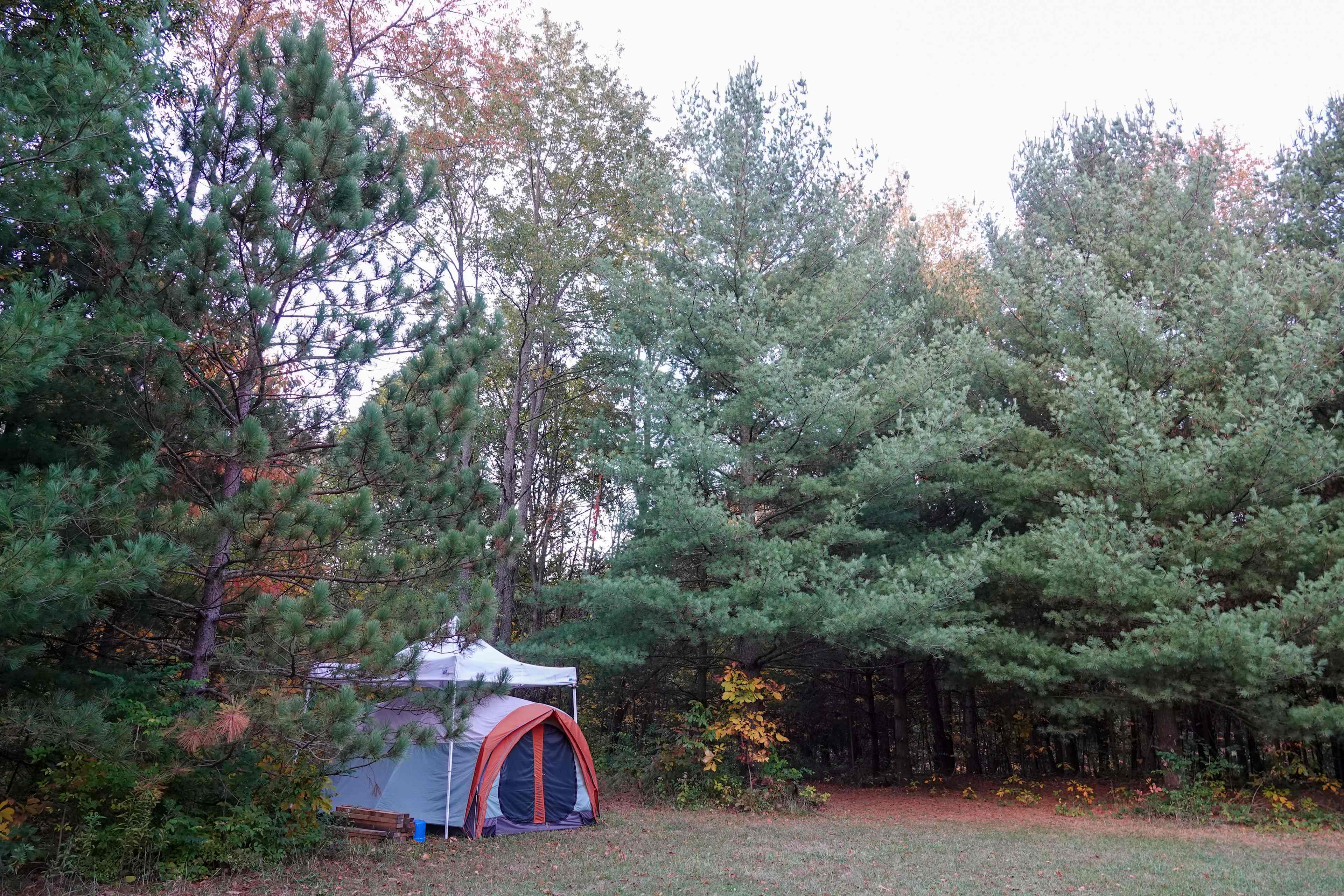 A tent spot in the free camping area