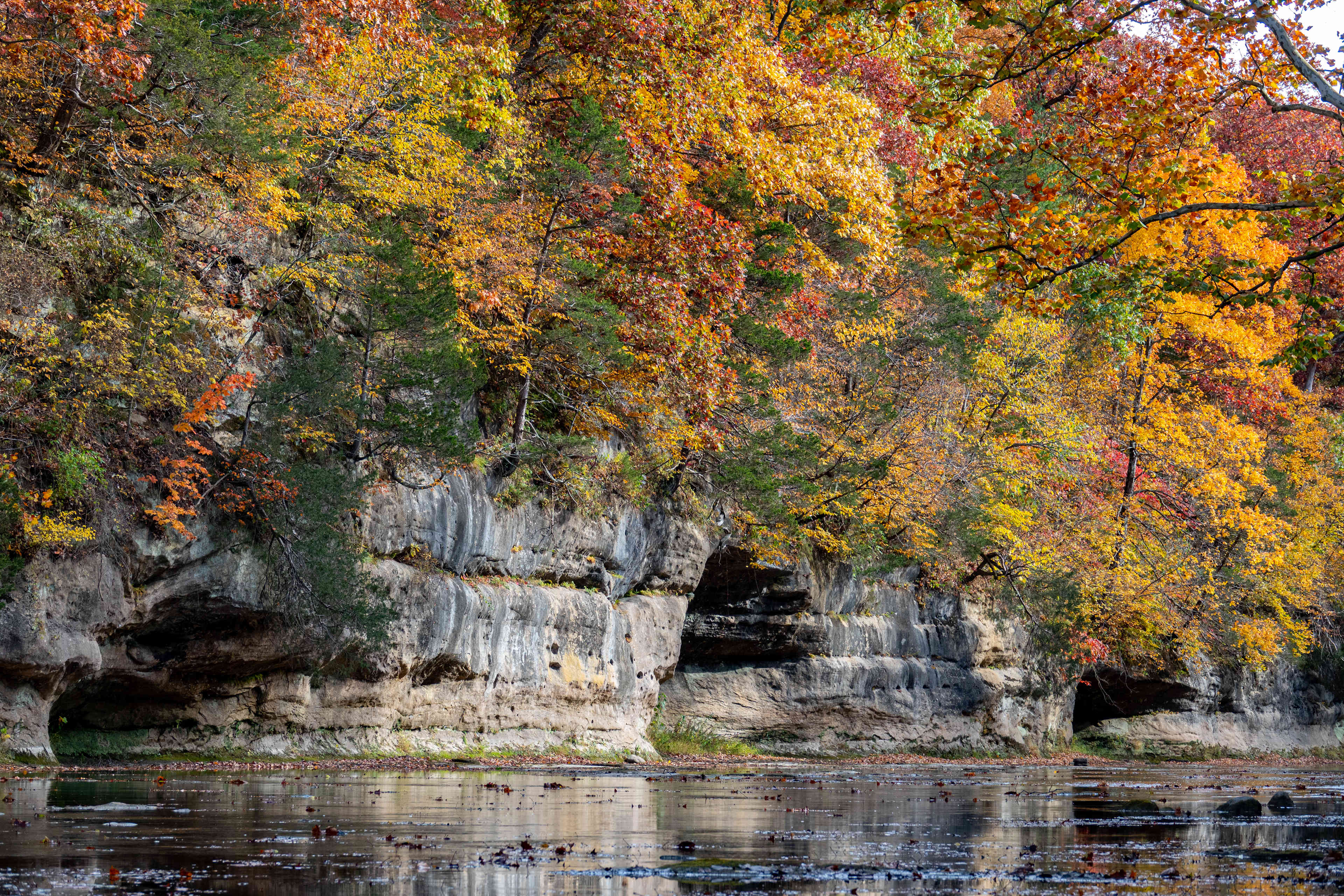 Sandstone bluffs along the creek
