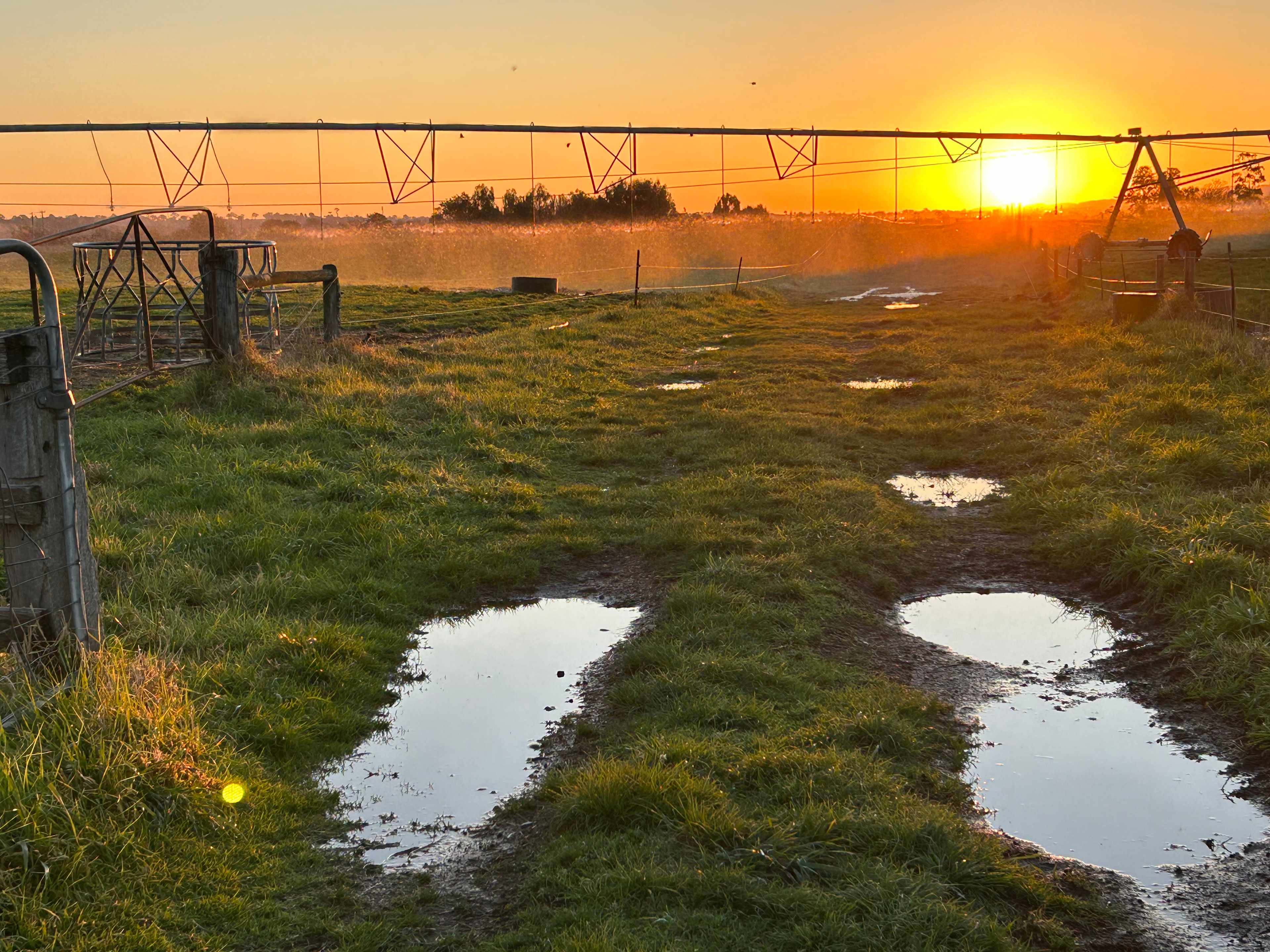 Pivot irrigator operating on the farm