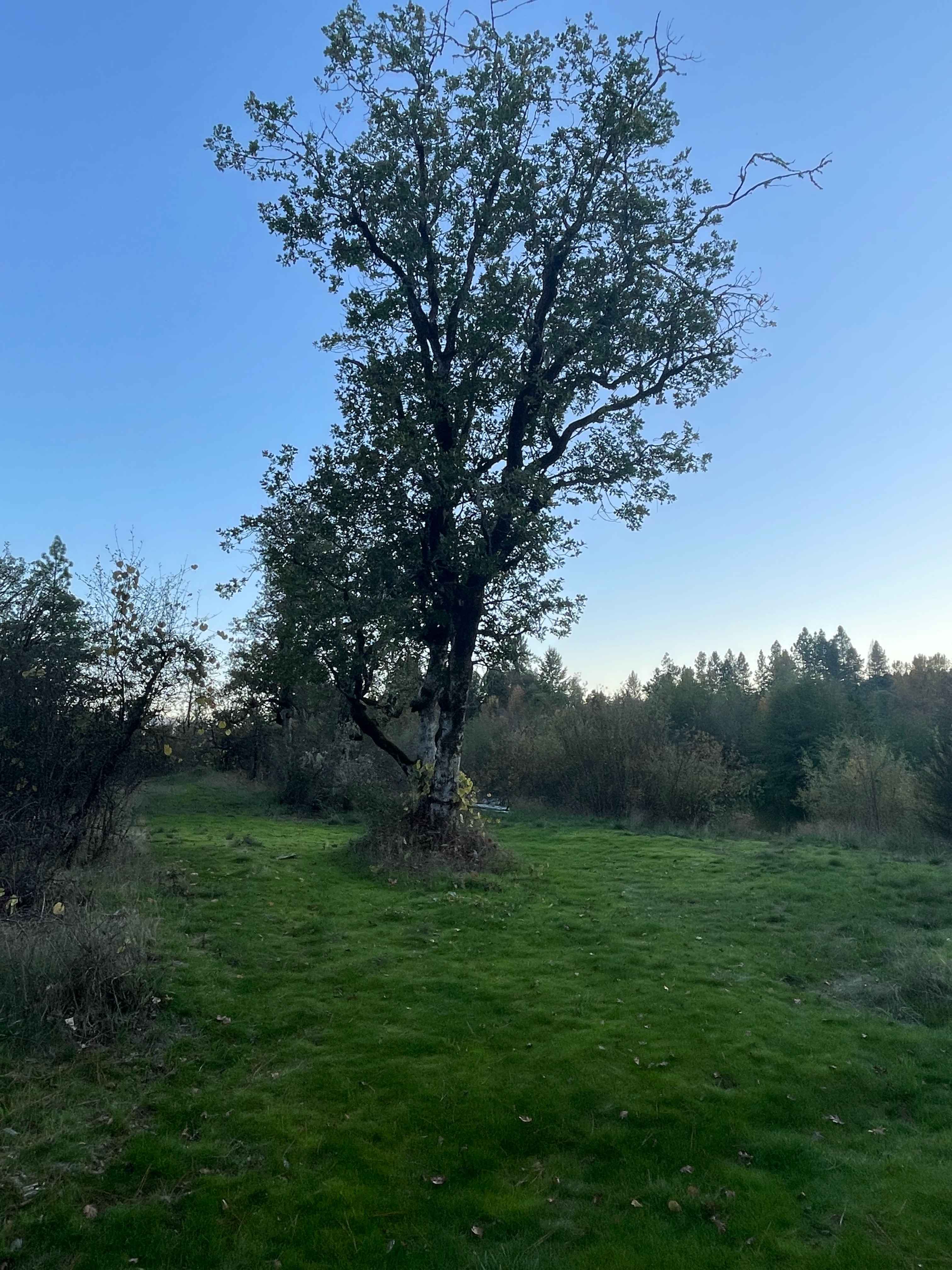Sojourn Retreats and Weddings