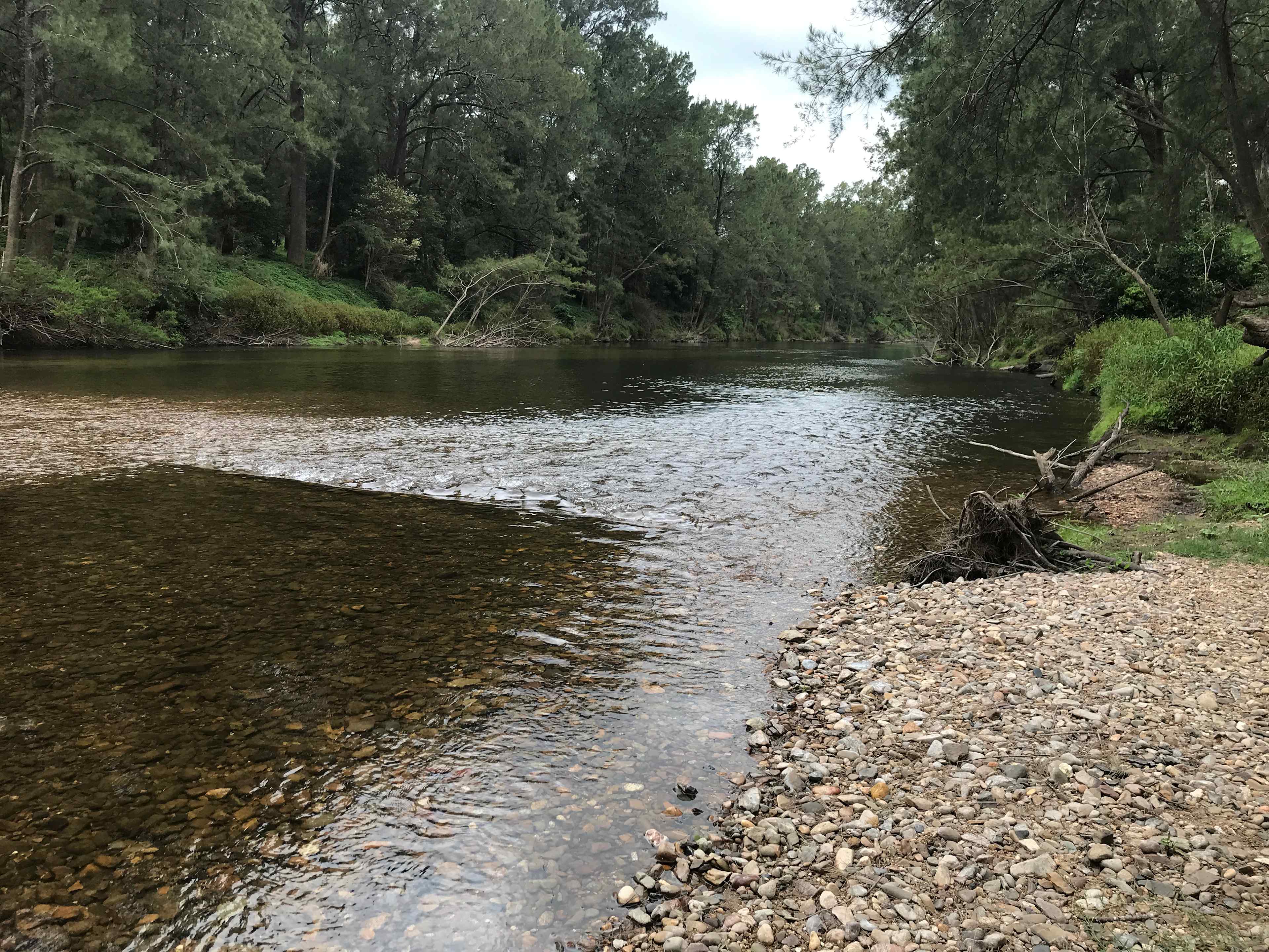 Nice swimming area