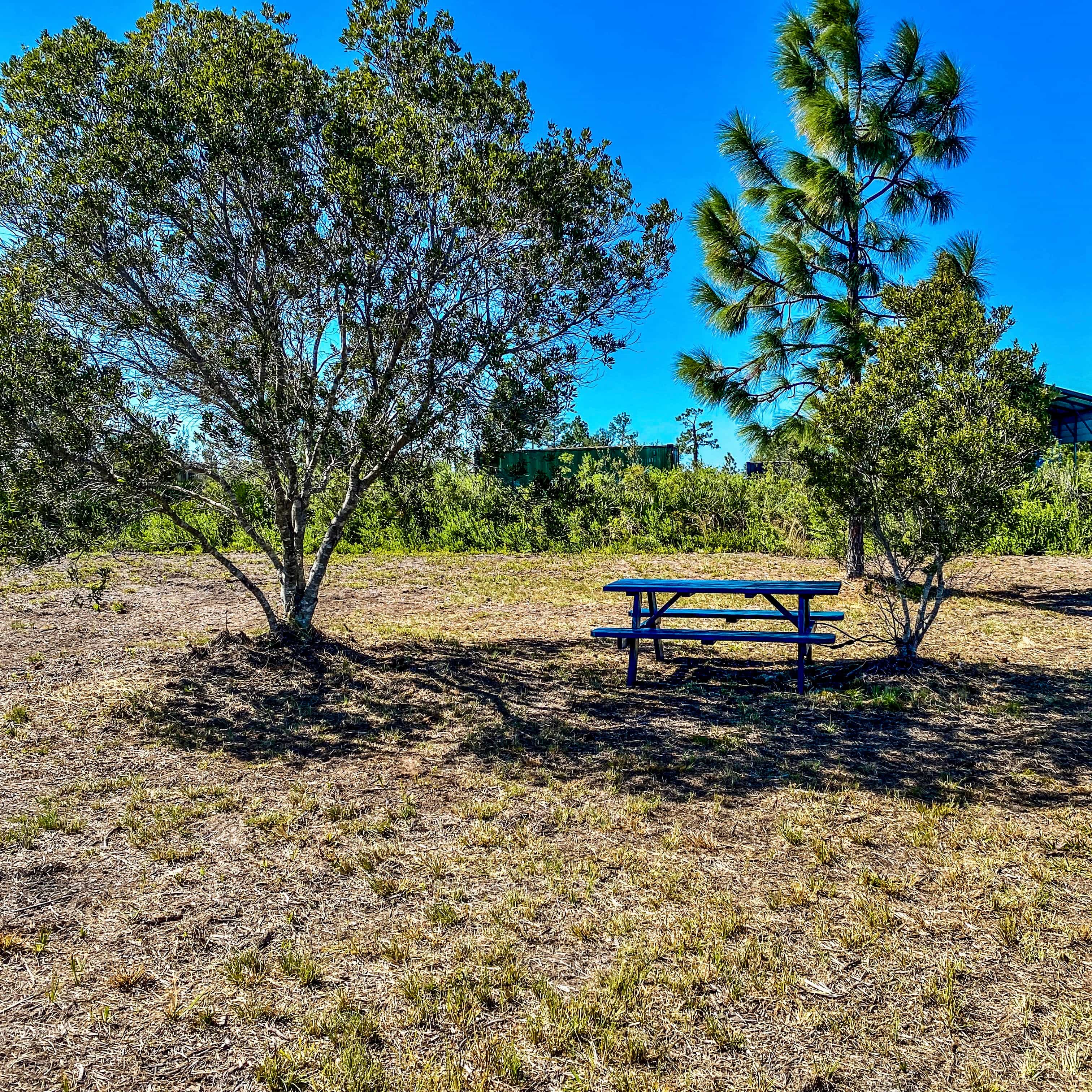 Sweet Shop Camp Sites at RiverRanch