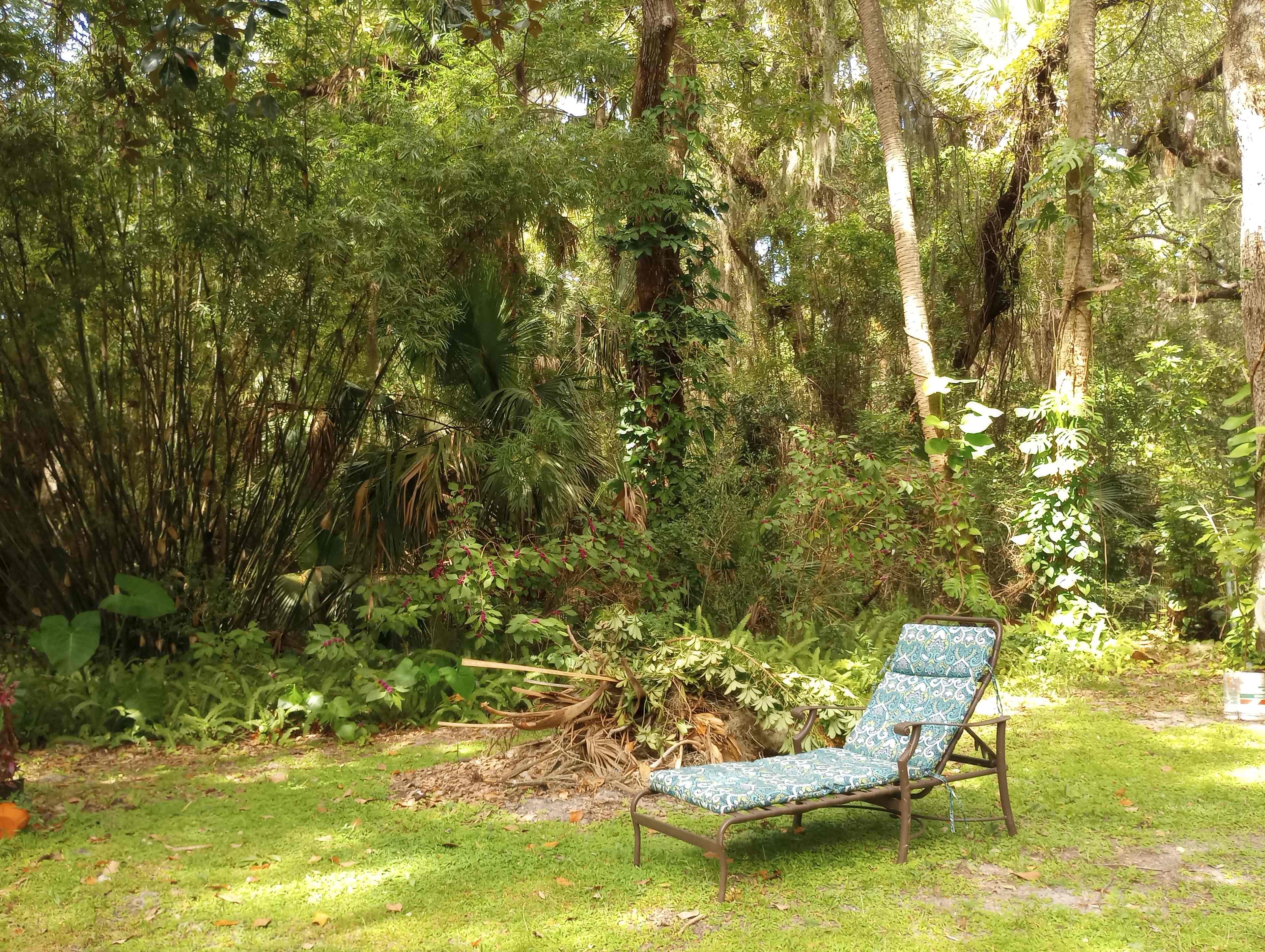 Fire pit area
