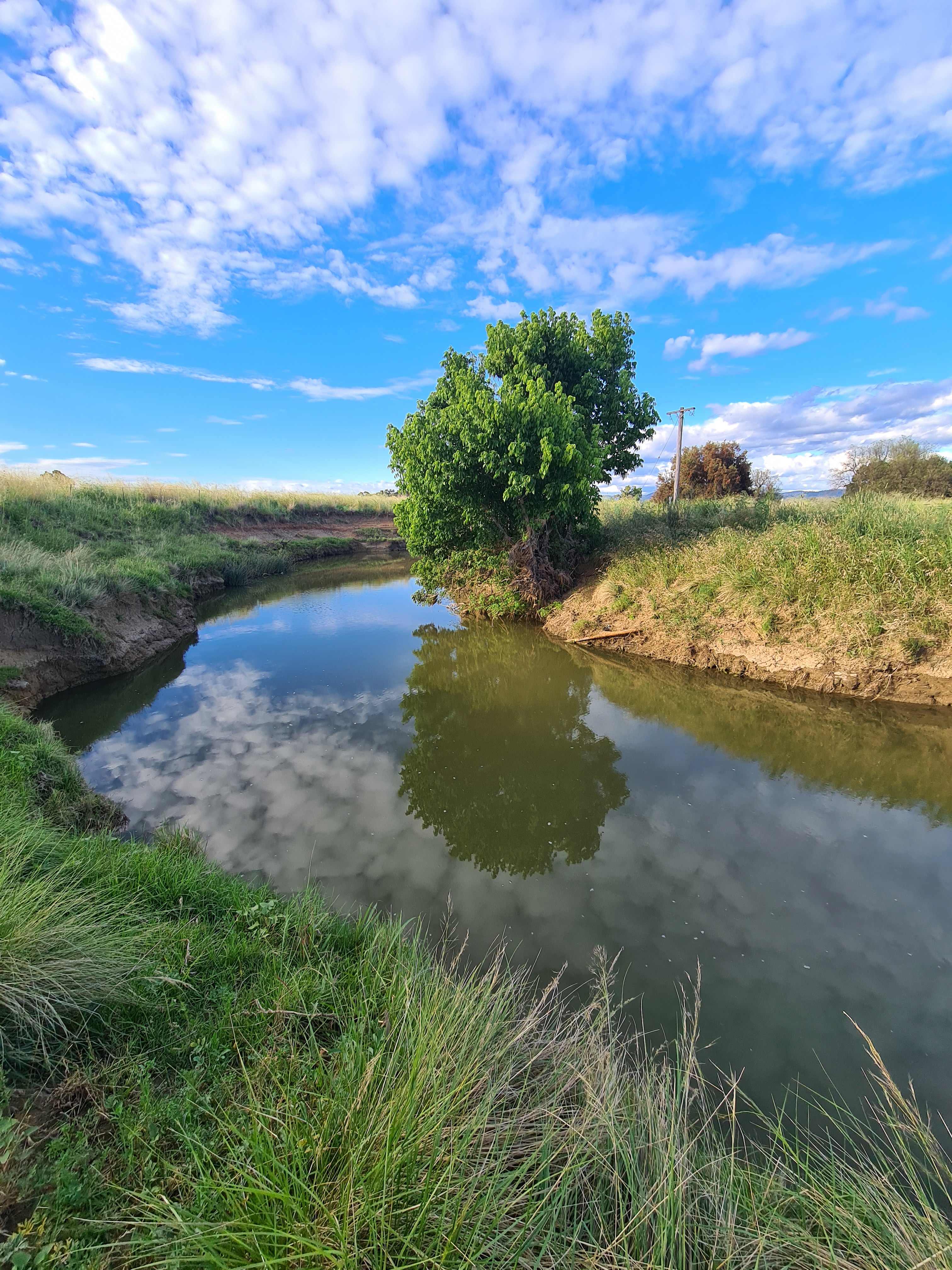 Timbumburri Creek along camping area