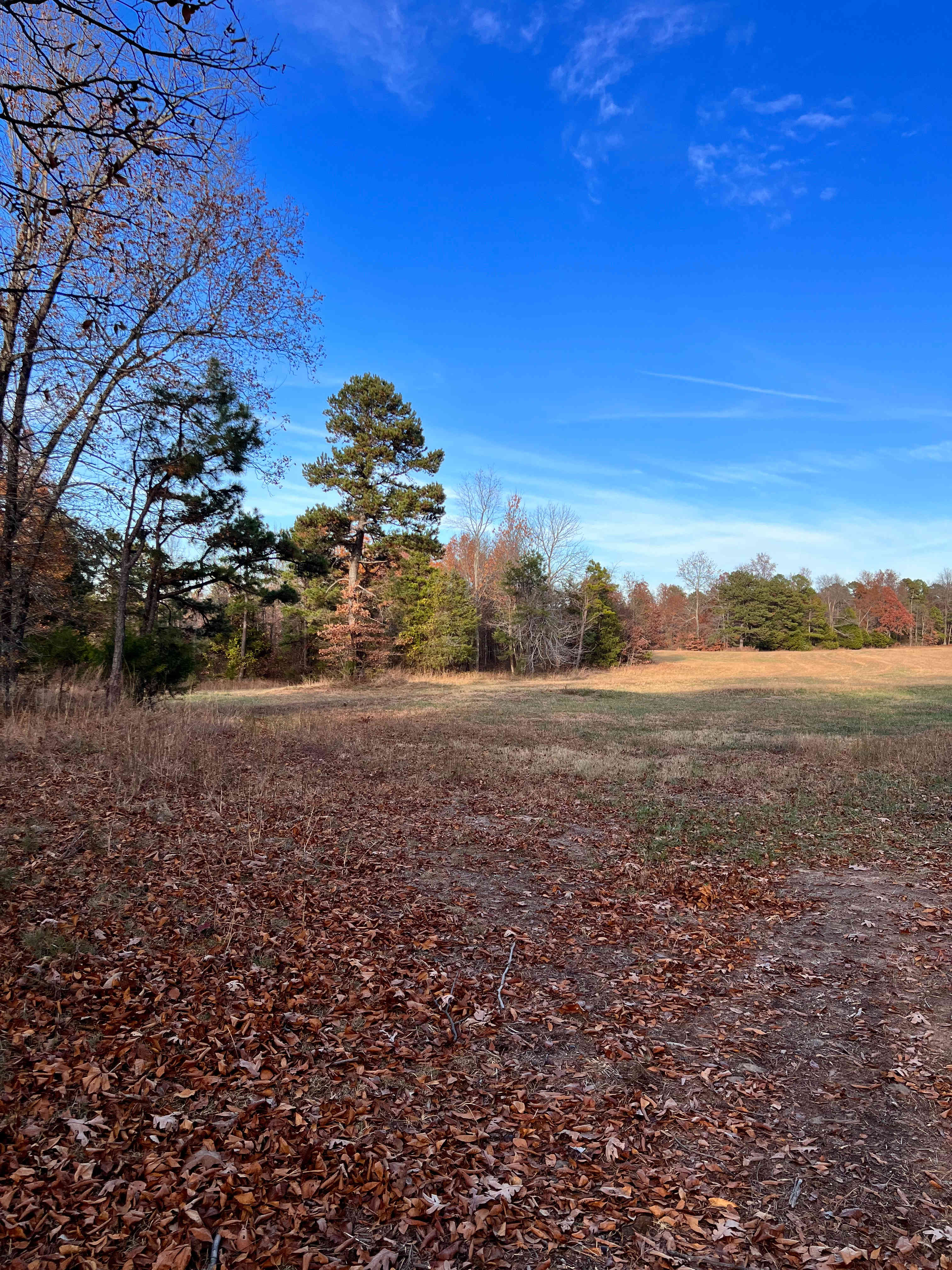 GramyBear Farm Rentals
