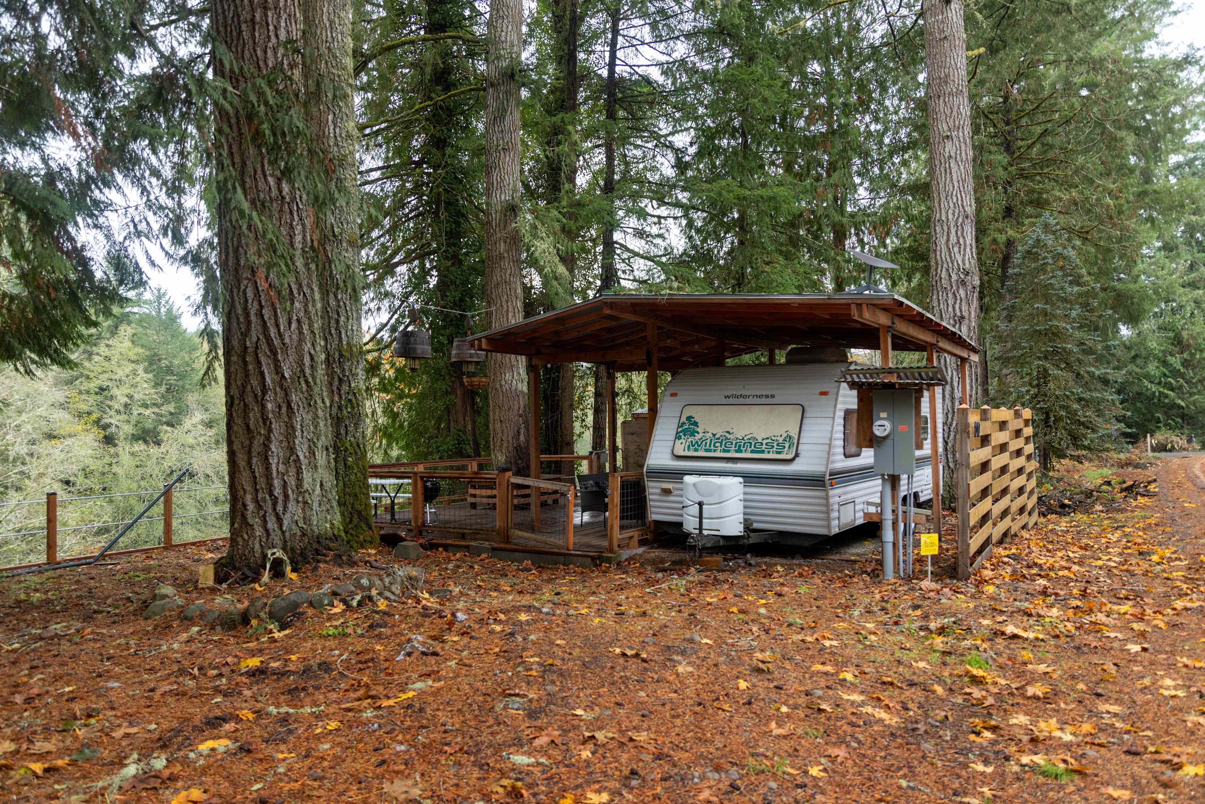 Camper in the Firs